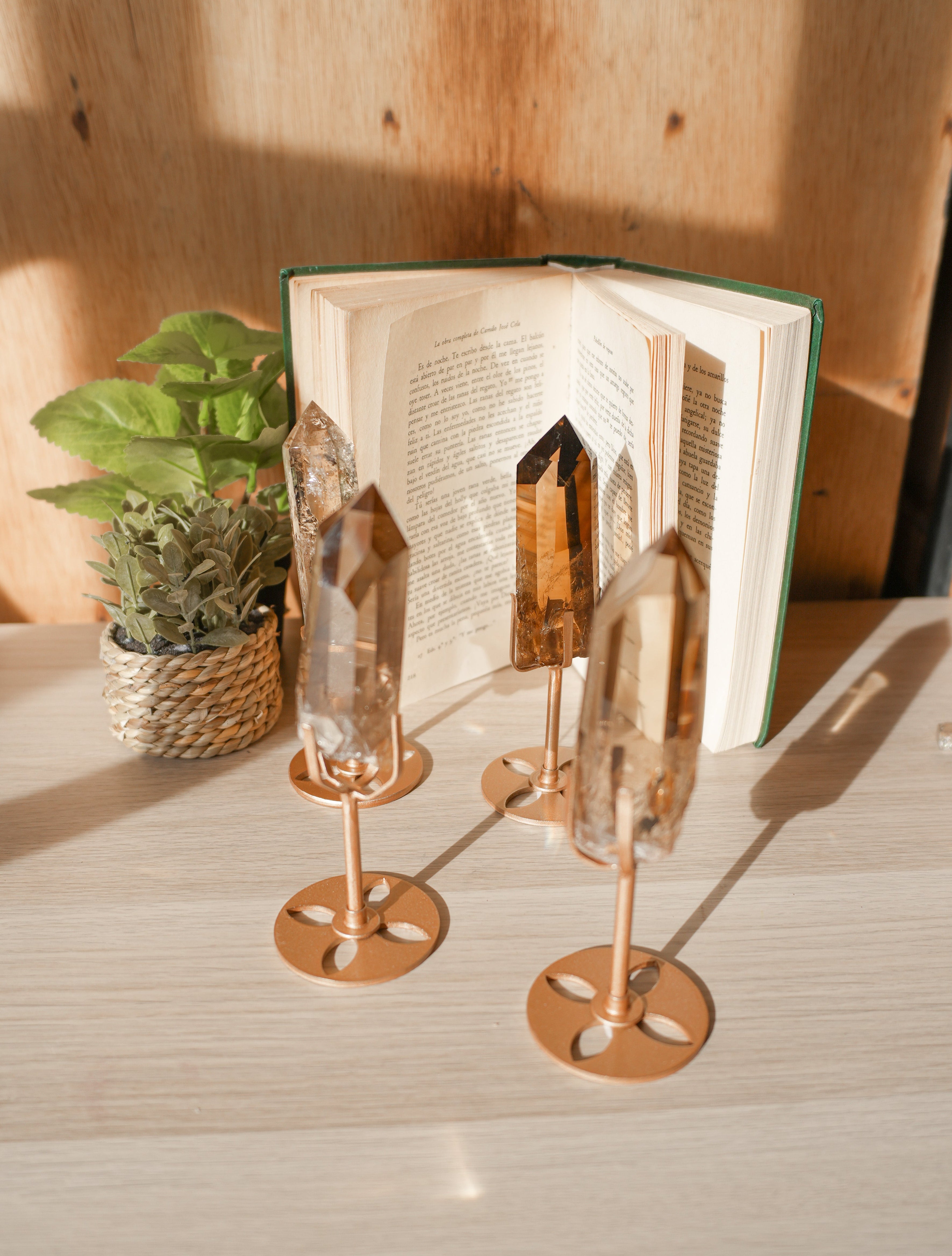 Punta de Citrino Natural con Stand – Abundancia, Energía Solar y Manifestación