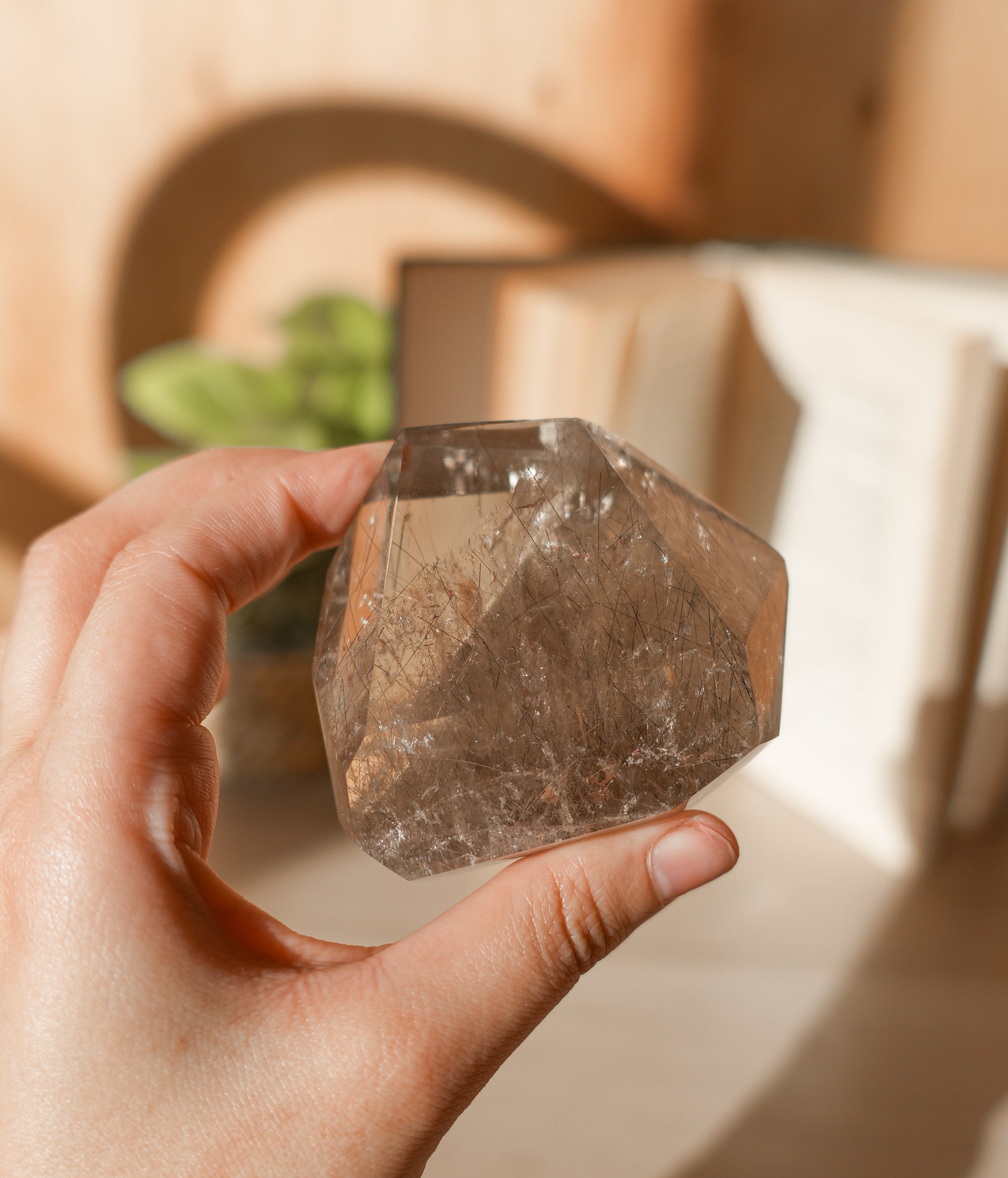 Cuarzo Ahumado con Rutilo y Turmalina – Protección, Claridad y Transformación