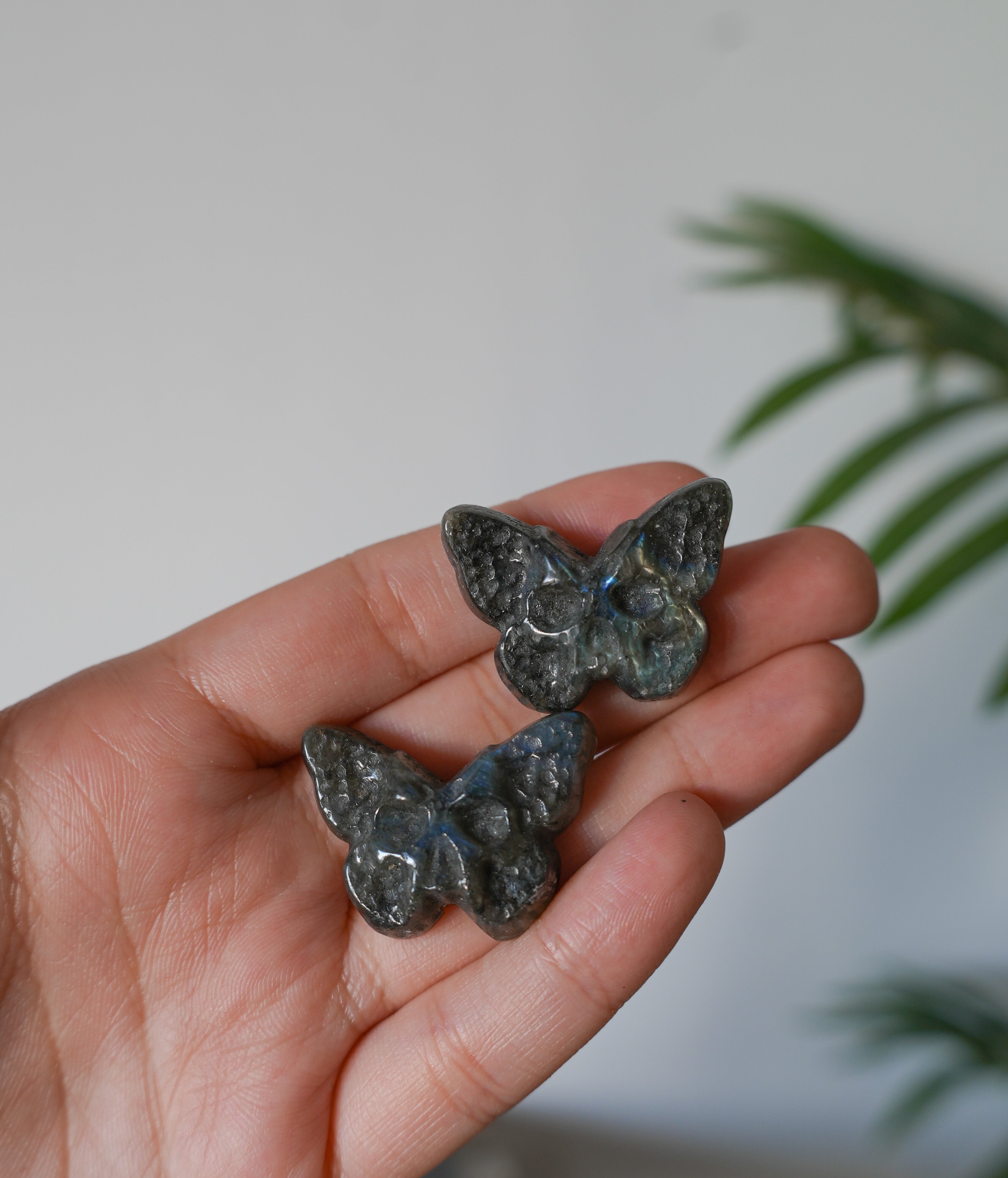Mariposa de Labradorita CALAVERA  – Transformación, Magia y Protección