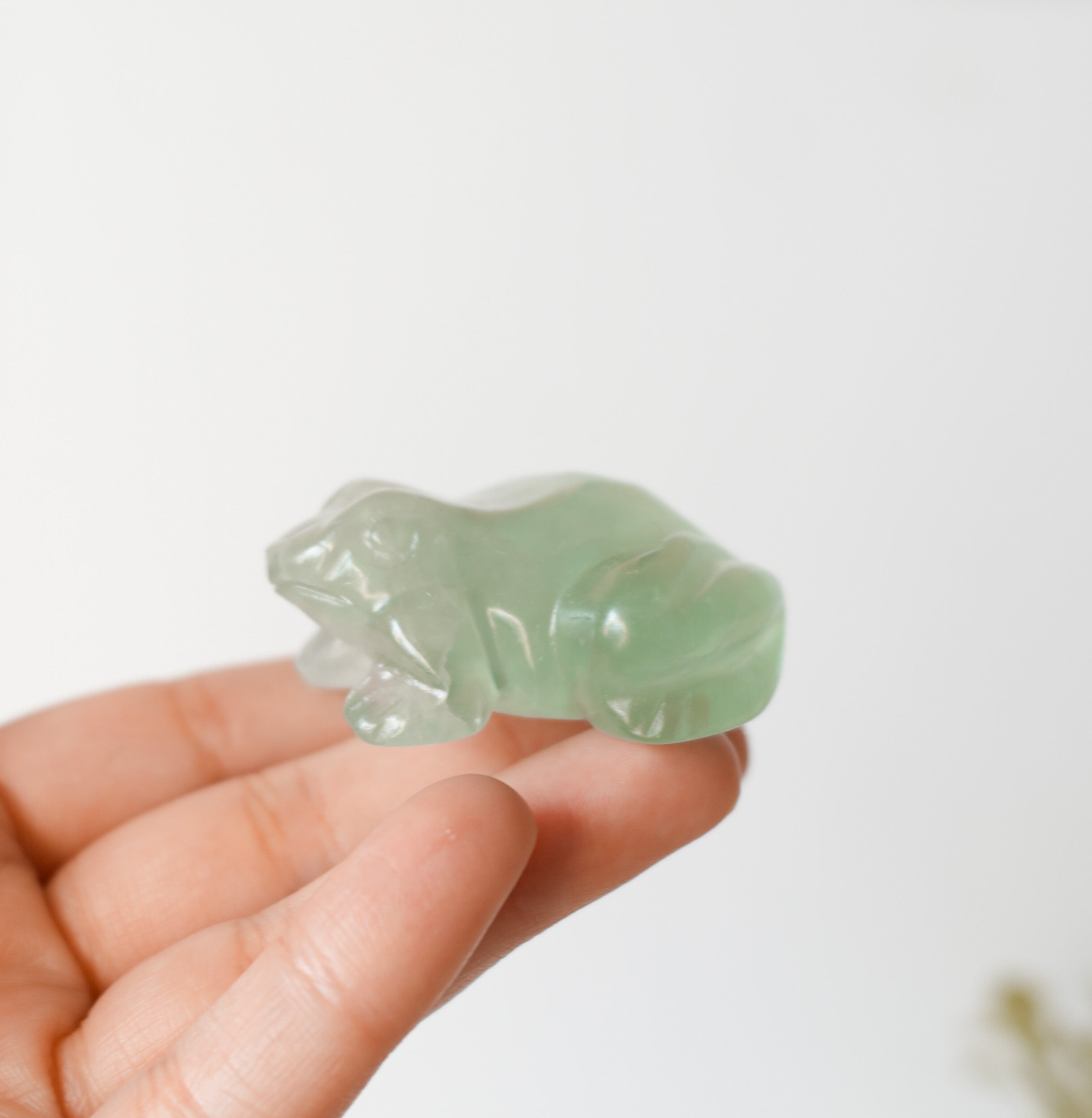 Rana de Fluorita Verde – Sanación Y Renacimiento