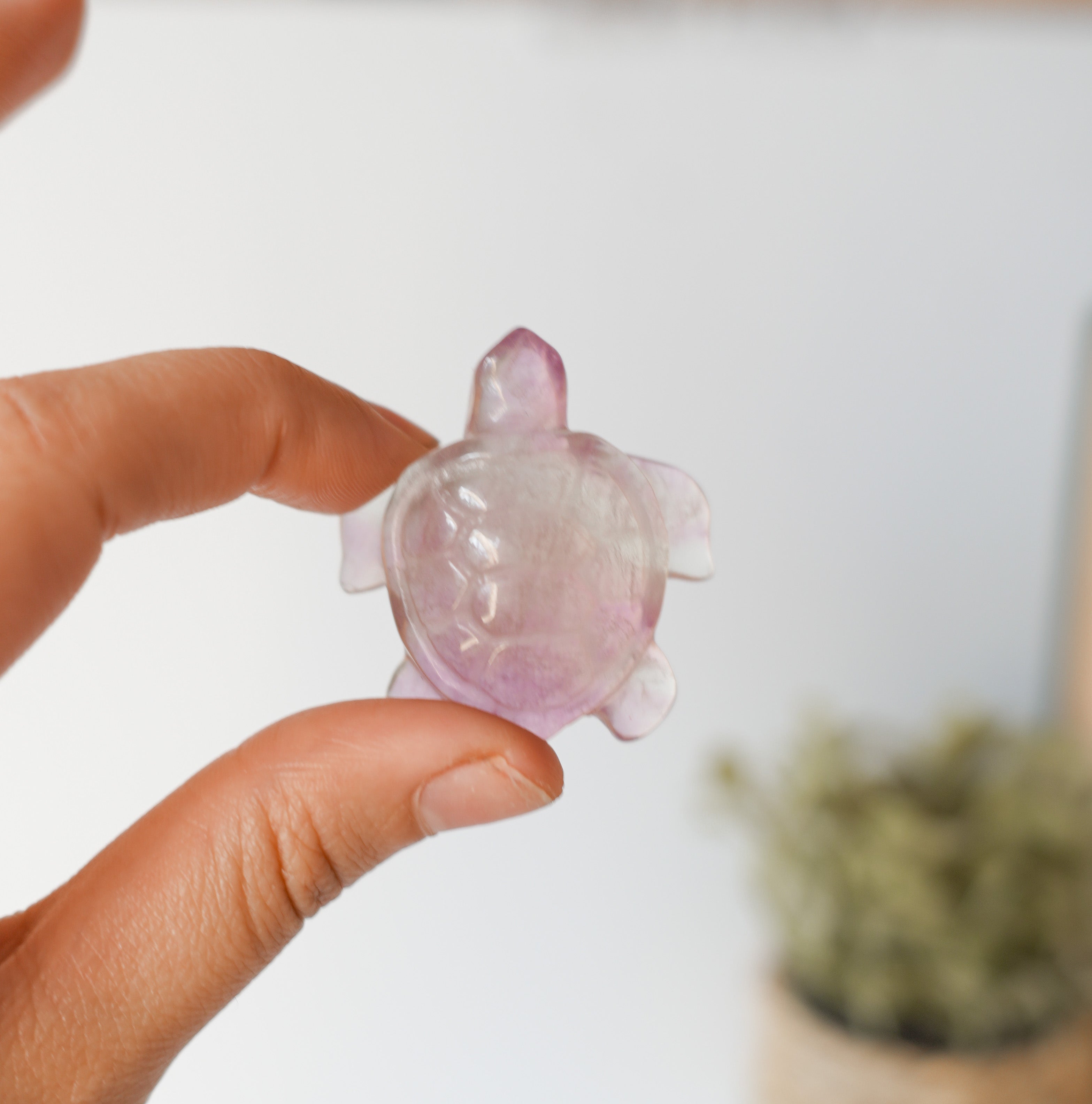 Tortuga de Fluorita – Calma, Sabiduría y Protección Energética