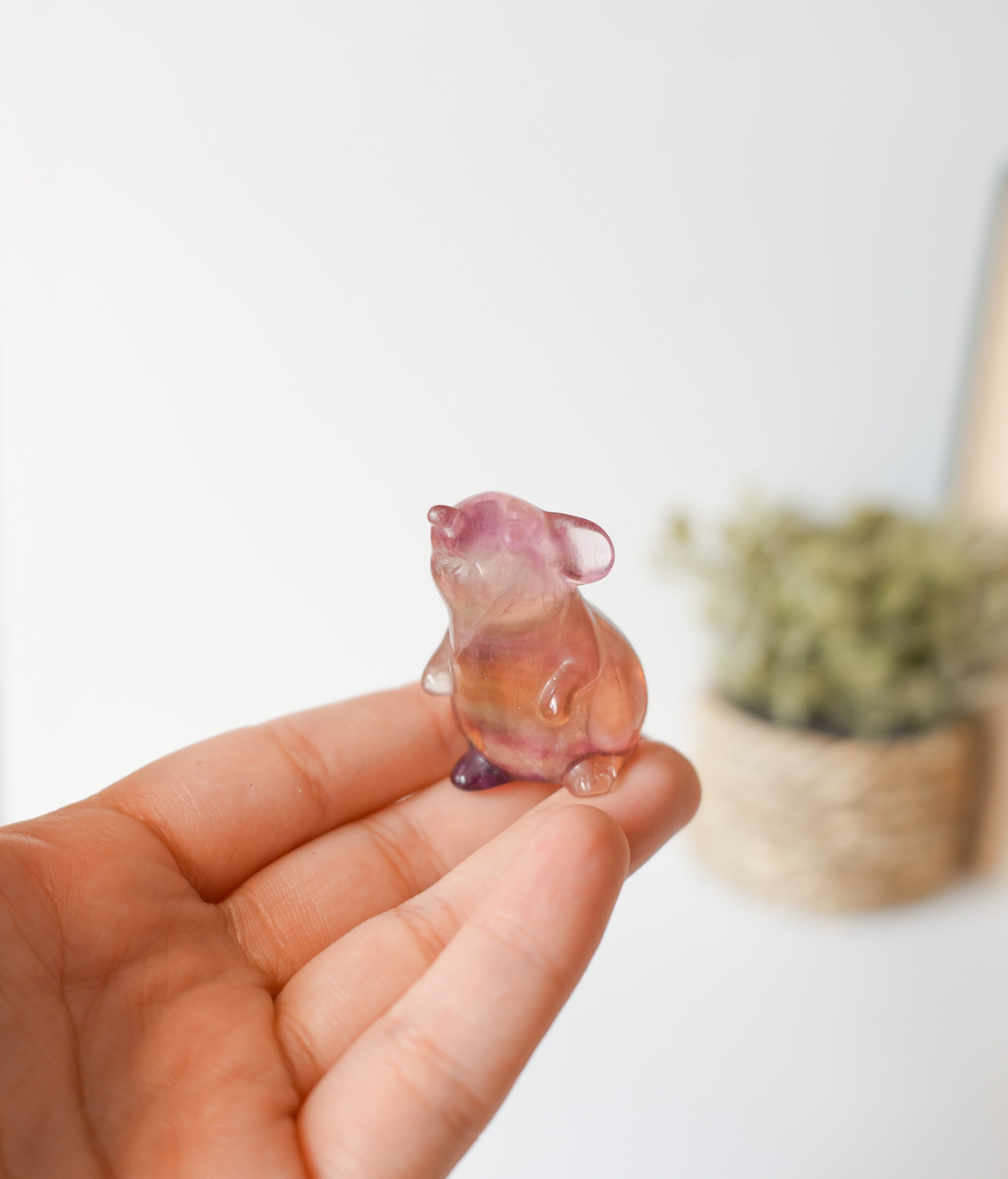 Ratón de Fluorita – Ingenio, Protección y Energía Dulce