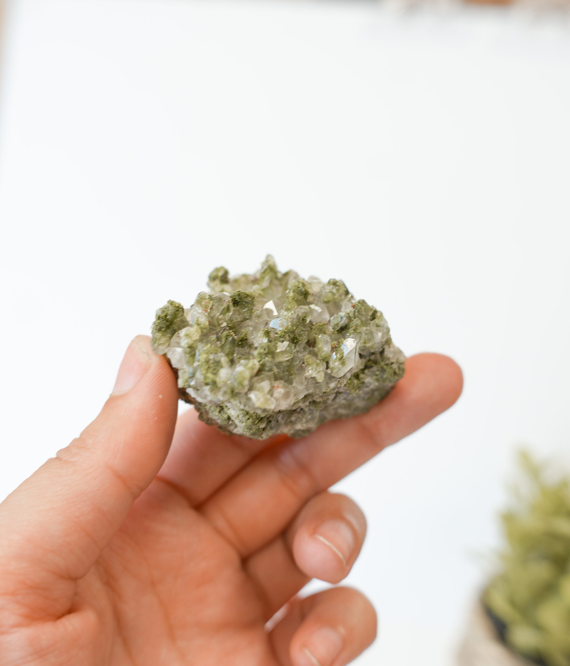 Epidota con Cuarzo – Crecimiento, Claridad y Energía Renovadora