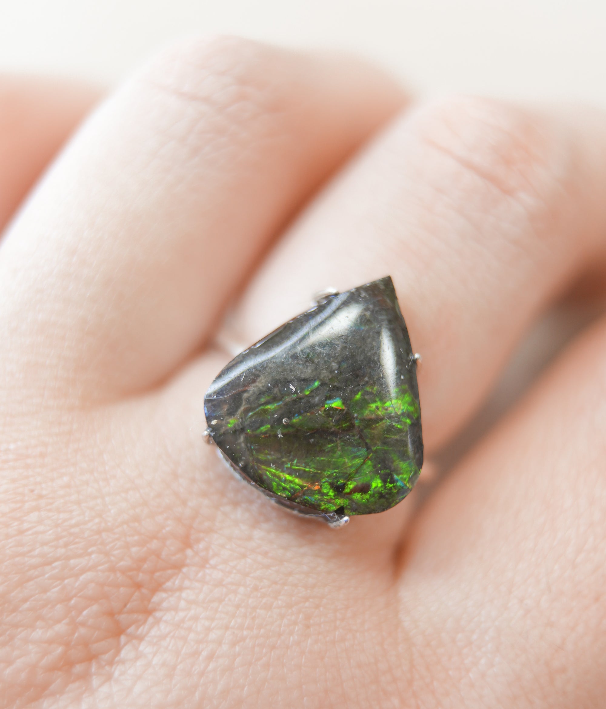 Anillo de Ammolita en Plata – Evolución, Energía Vital y Magia Ancestral