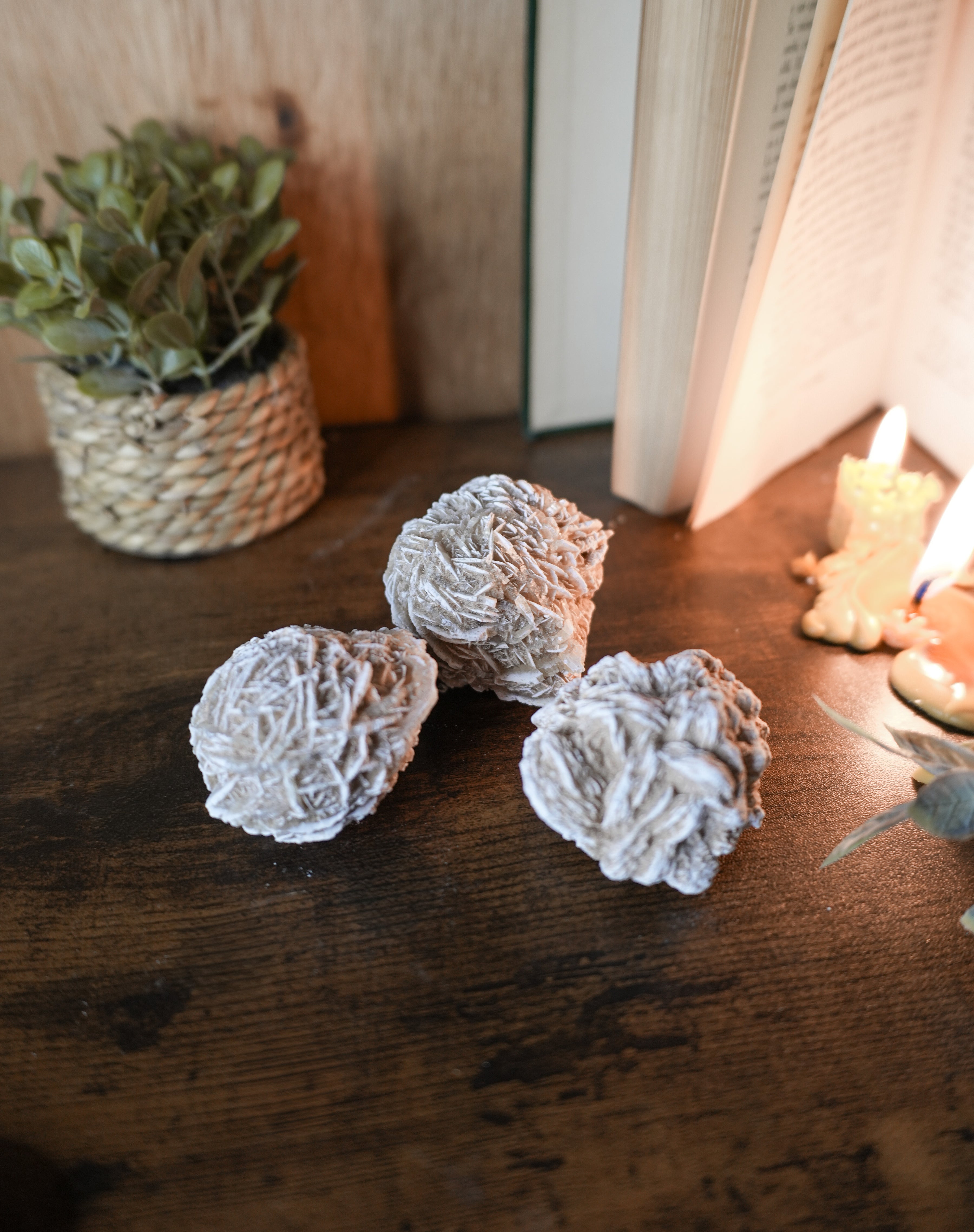 Rosa del Desierto – Mineral de claridad, calma y centro interior