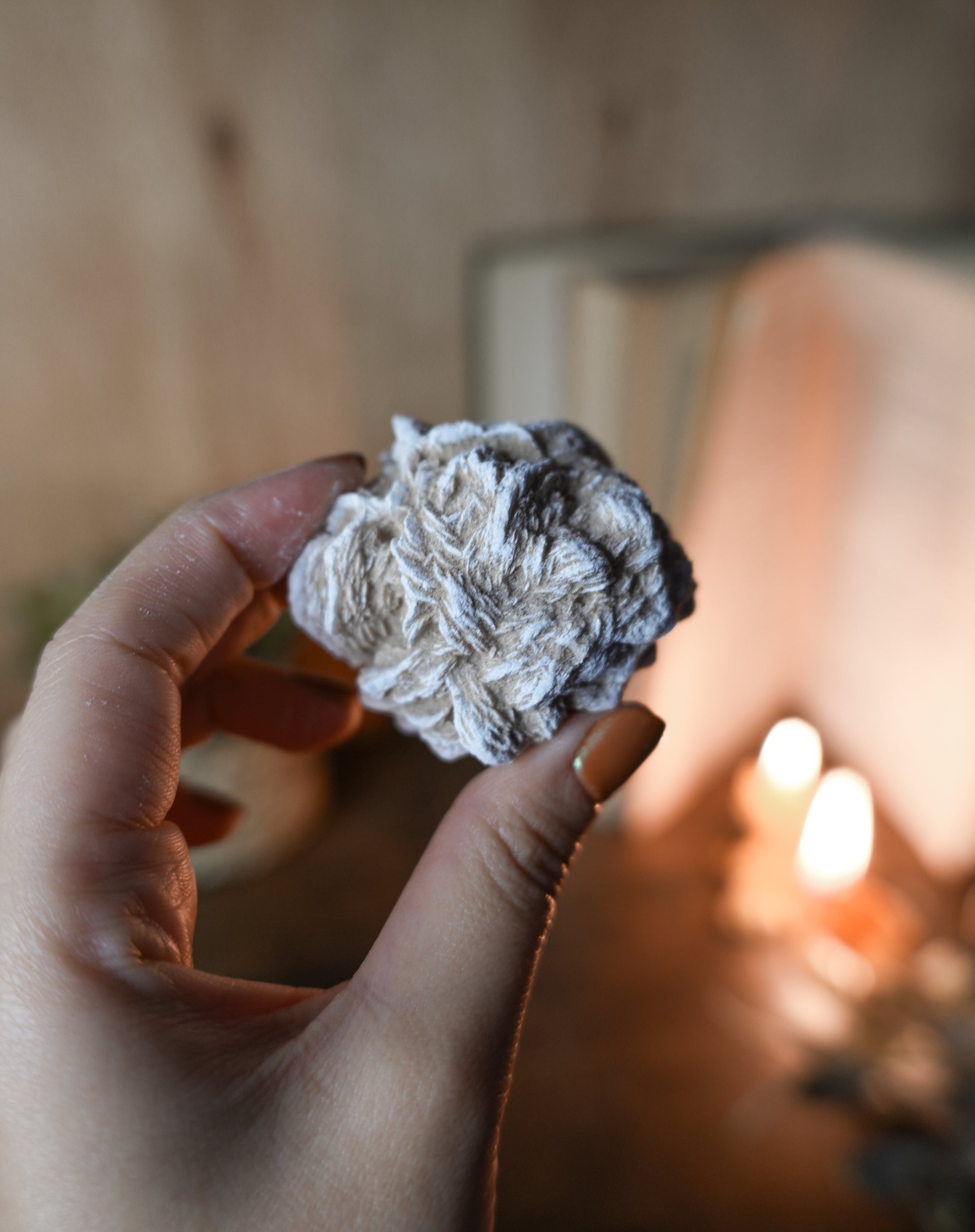 Rosa del Desierto – Mineral de claridad, calma y centro interior