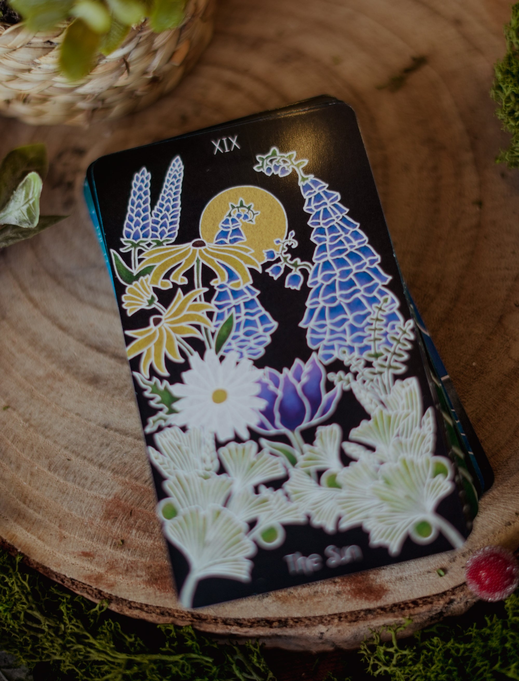 The Animystic Tarot - INGLÉS