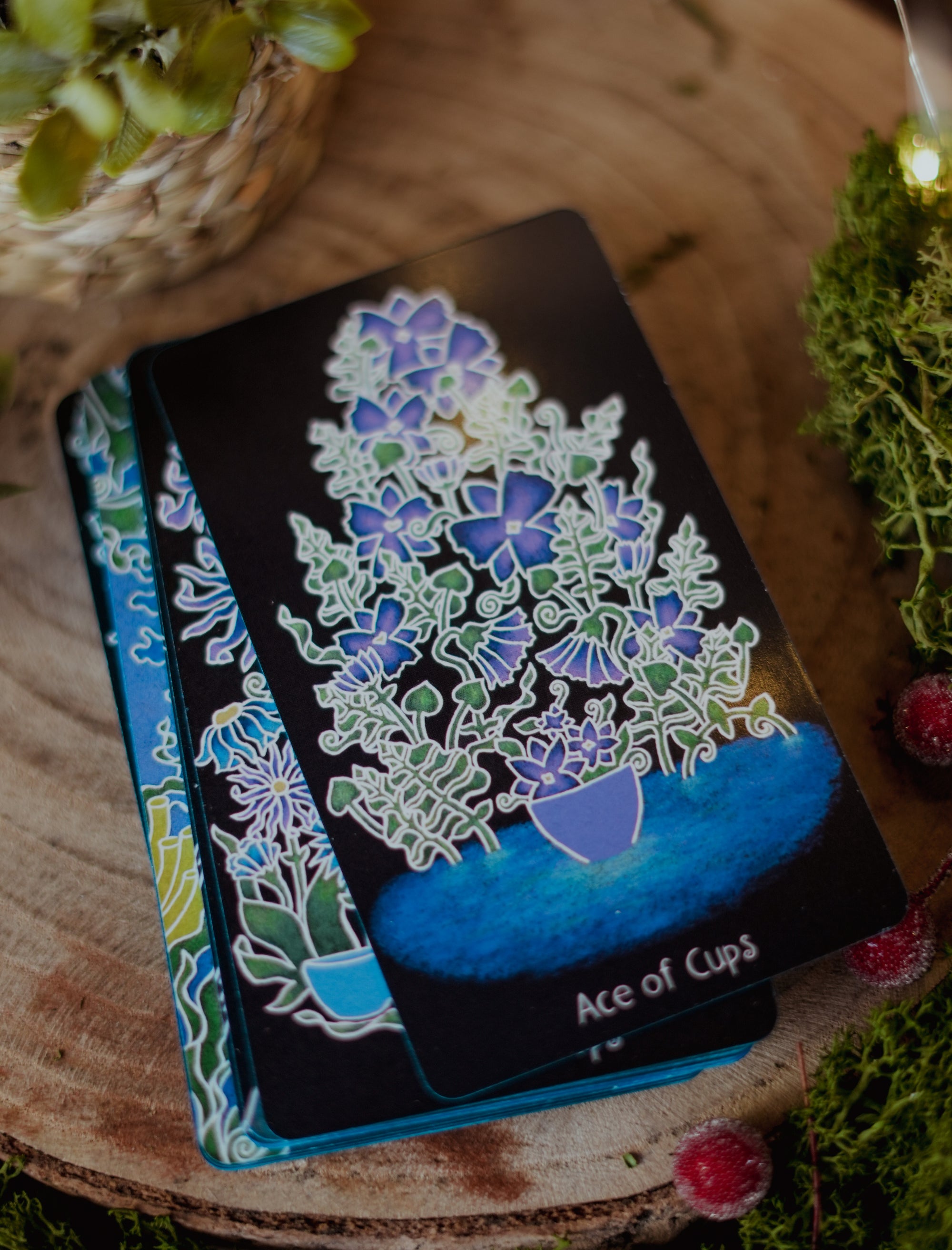 The Animystic Tarot - INGLÉS