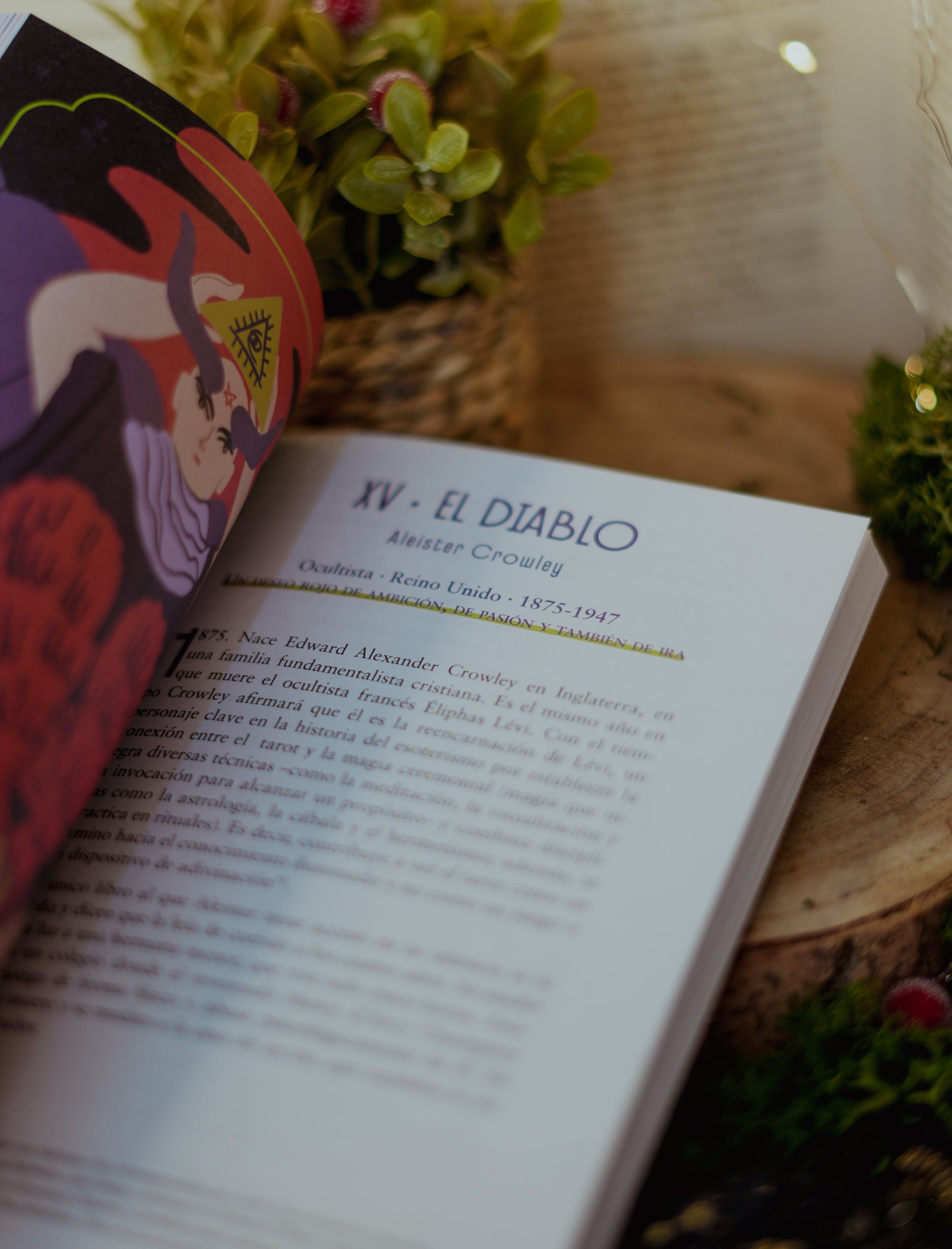 Místicas tarot (edición especial)