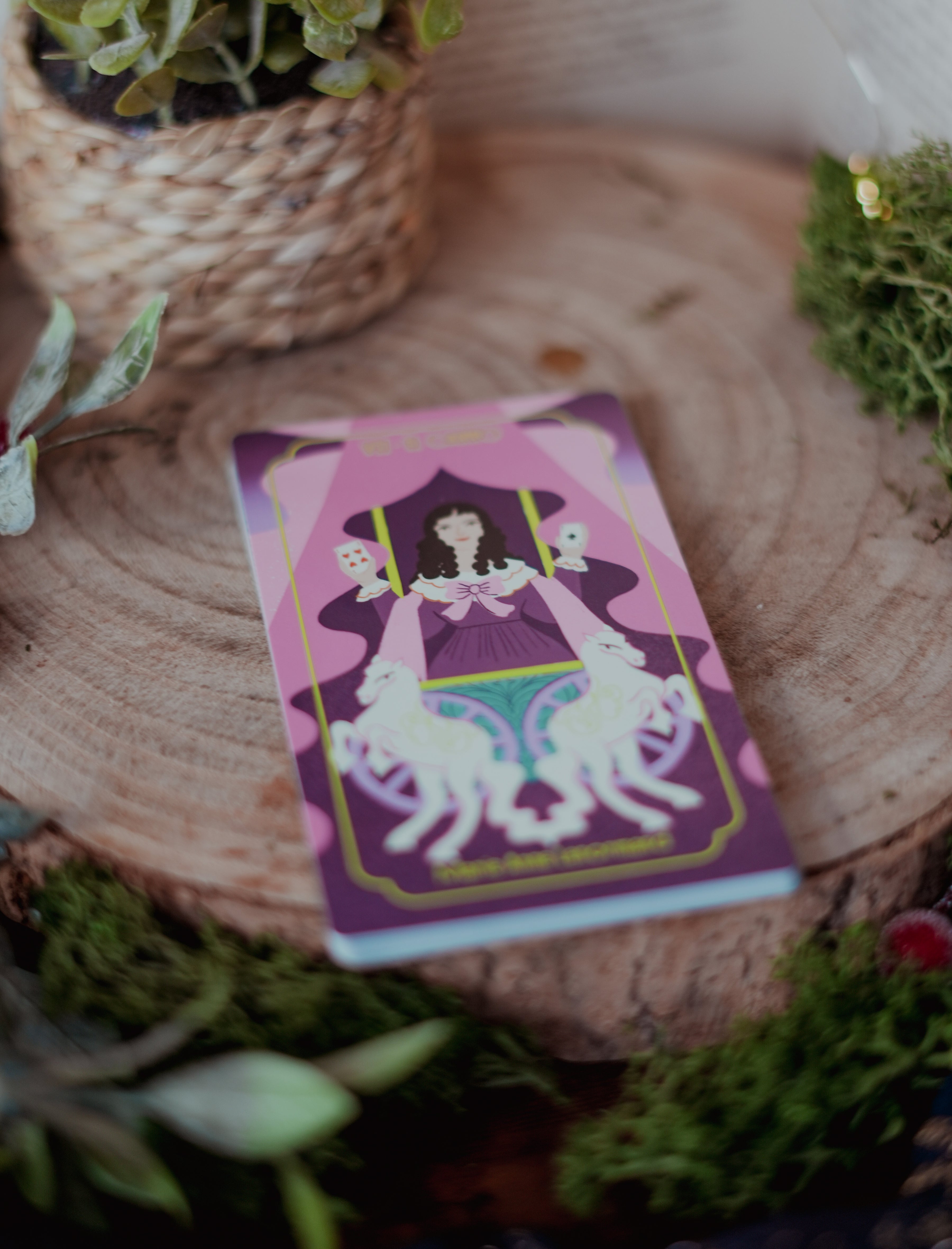 Místicas tarot (edición especial)