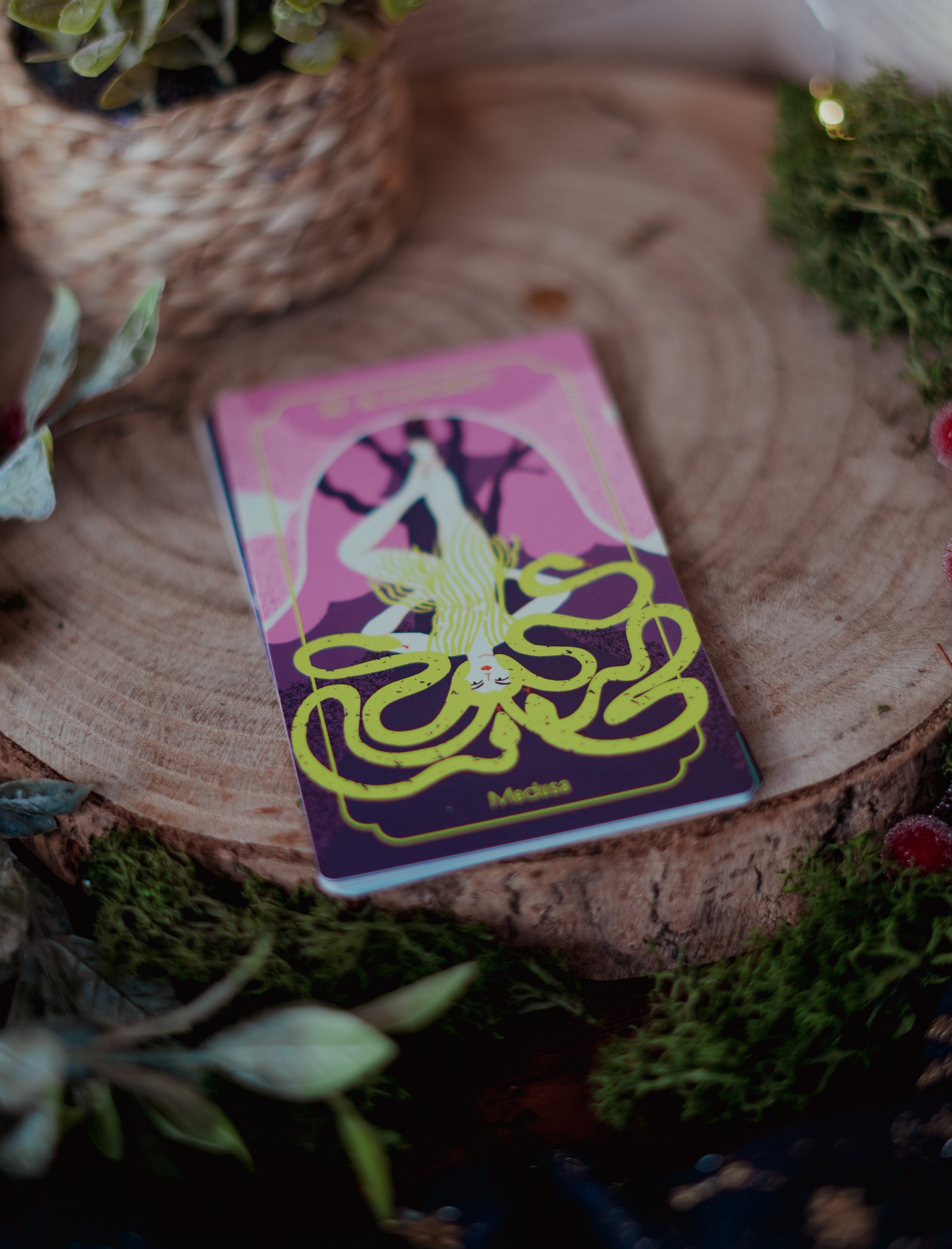 Místicas tarot (edición especial)
