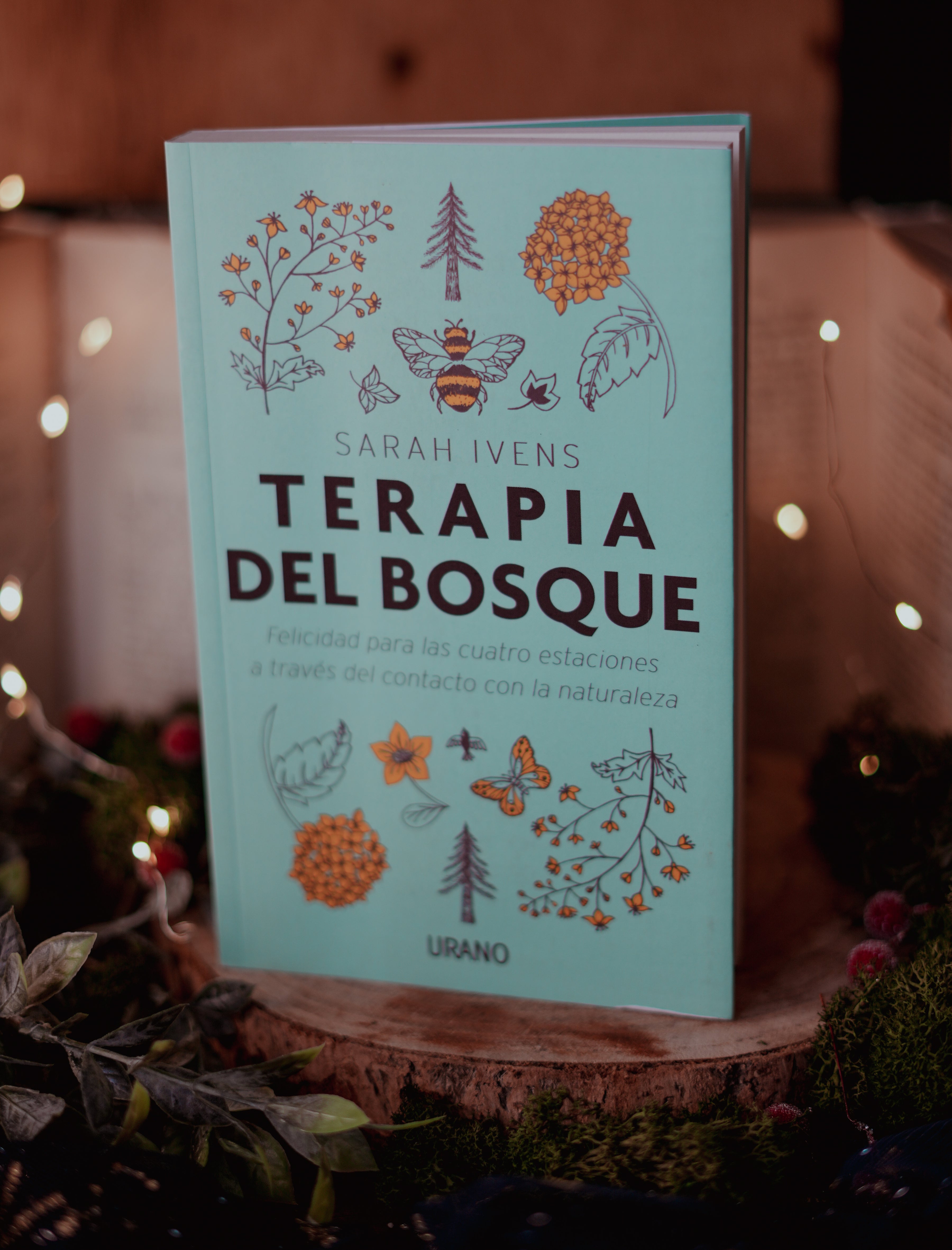 Terapia del bosque