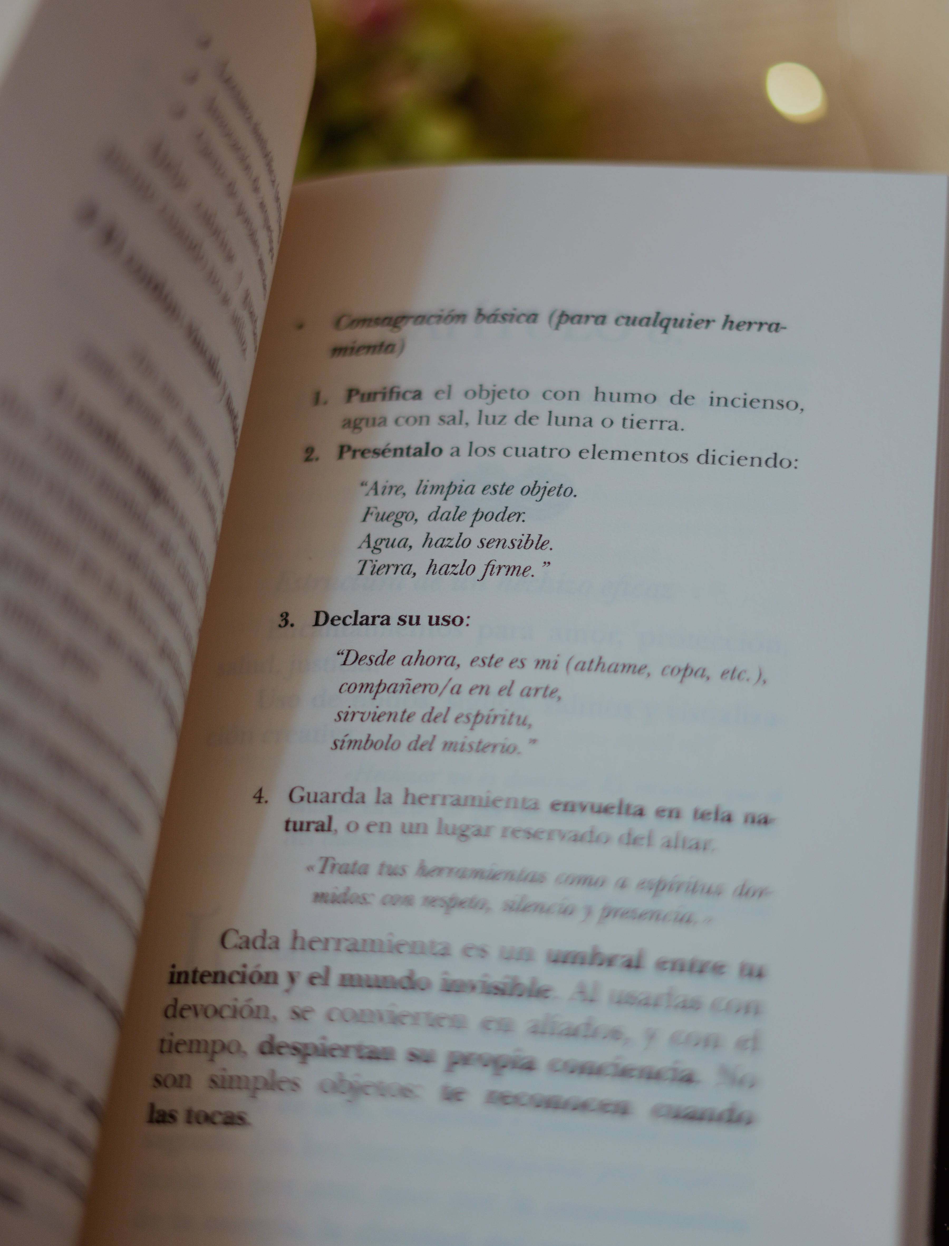 La nueva biblia de las brujas