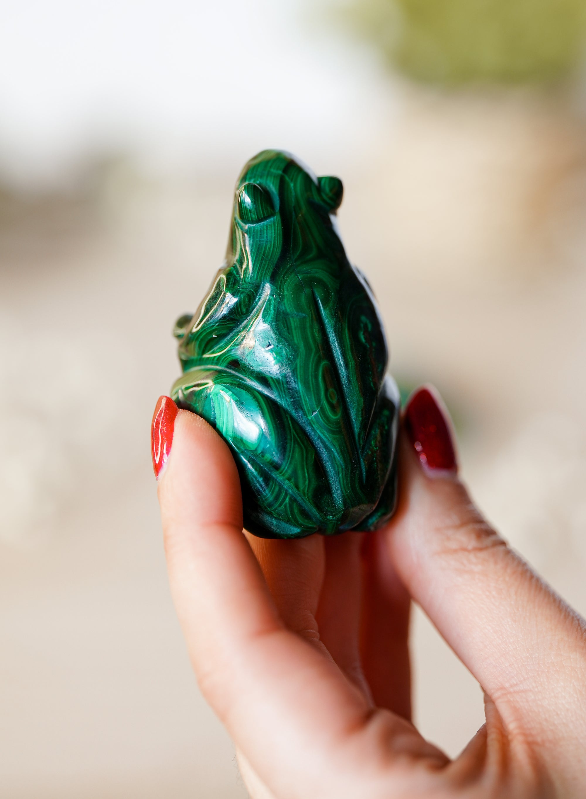 Rana de Malaquita Natural