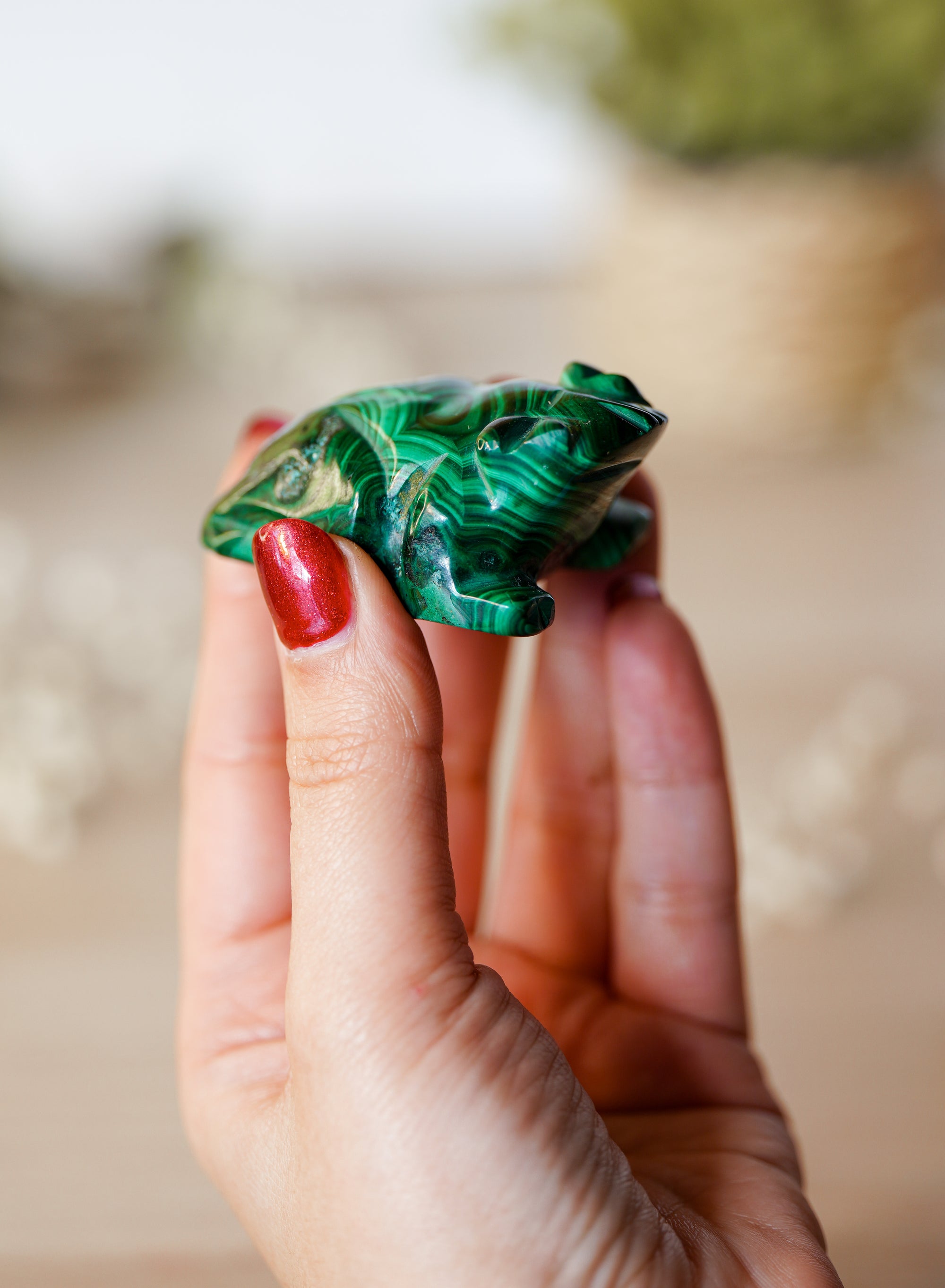 Rana de Malaquita Natural