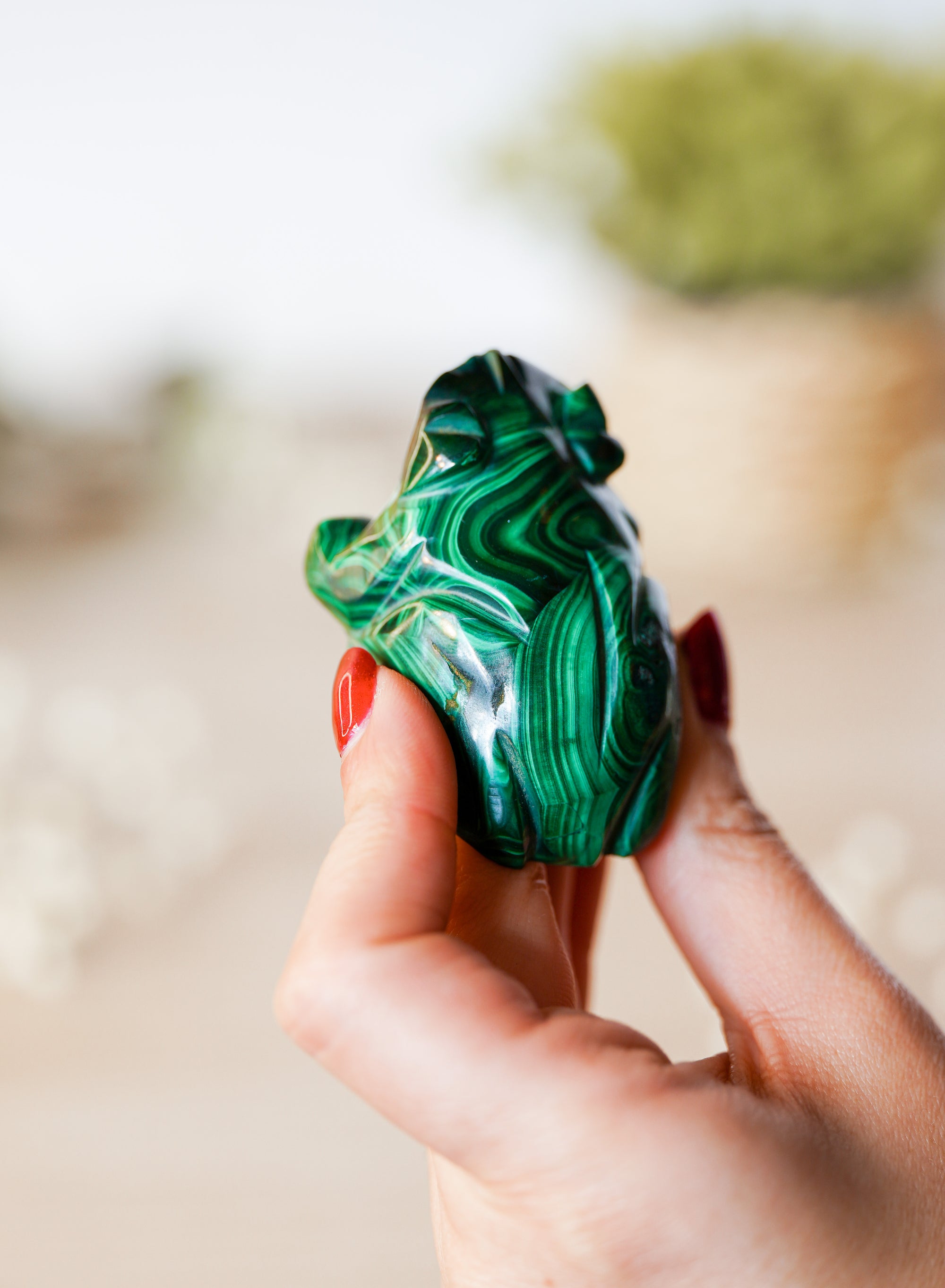 Rana de Malaquita Natural