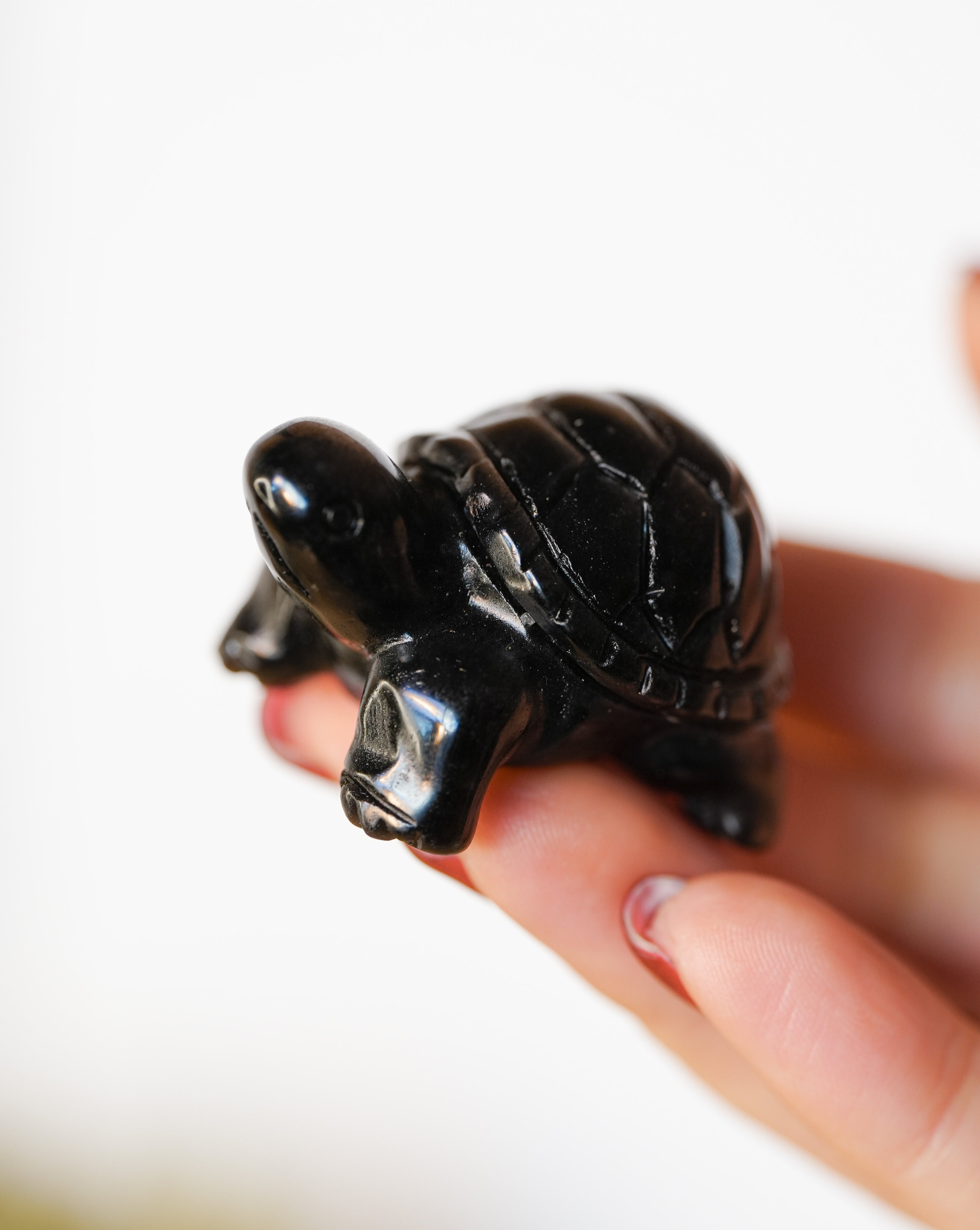 Tortuga de Obsidiana Plateada