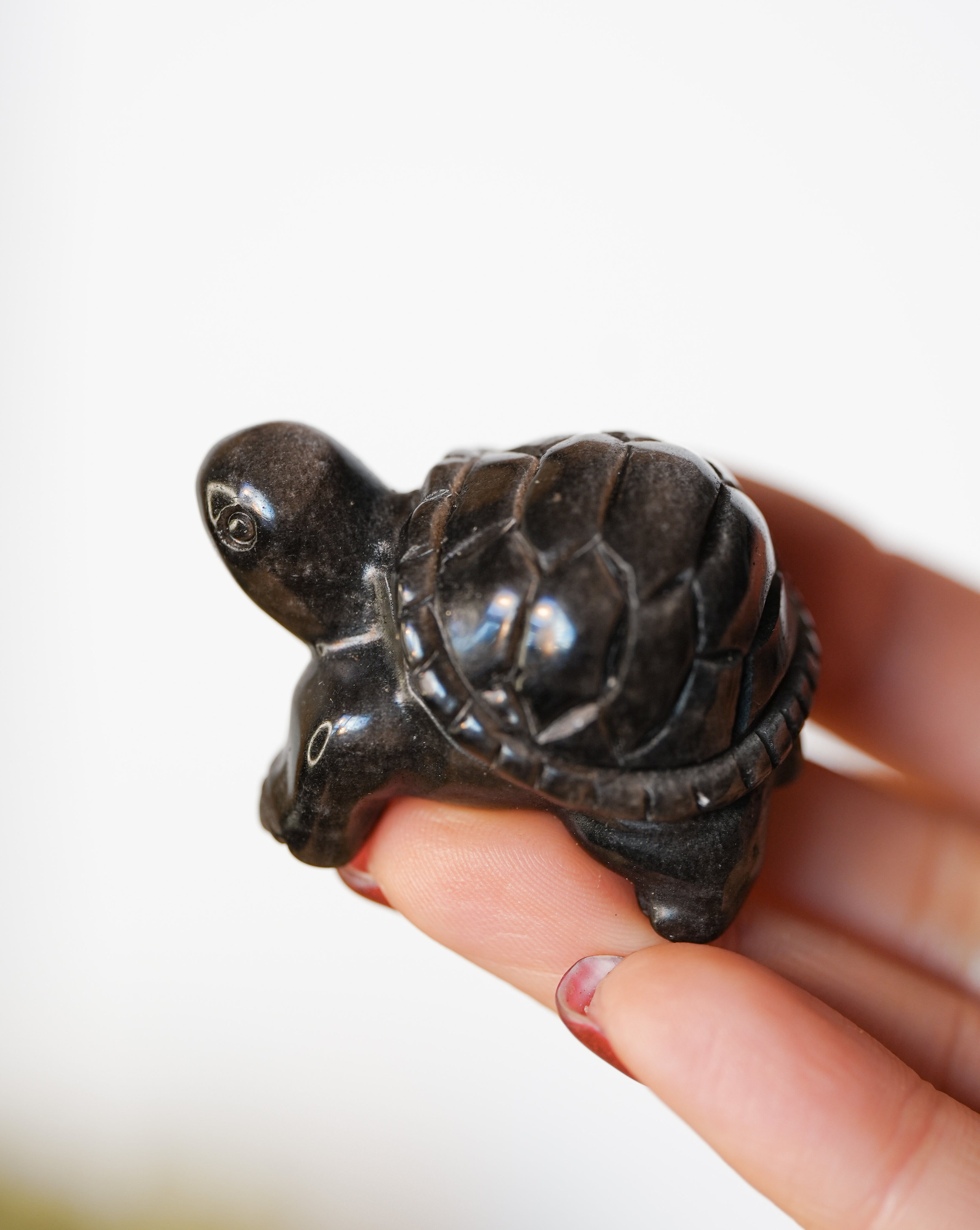 Tortuga de Obsidiana Plateada