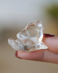 Caracol de Cuarzo Cristal