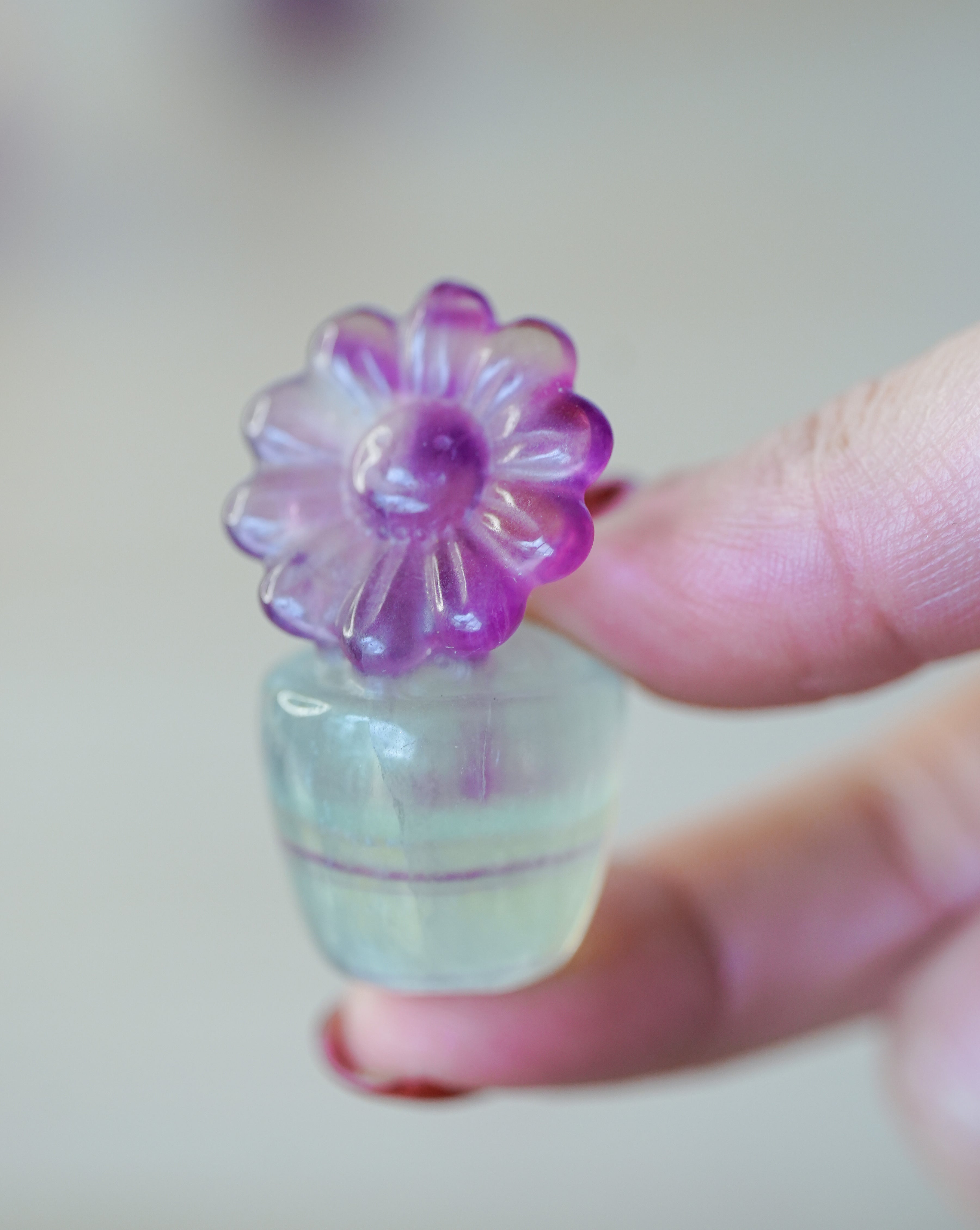 Flor de Fluorita