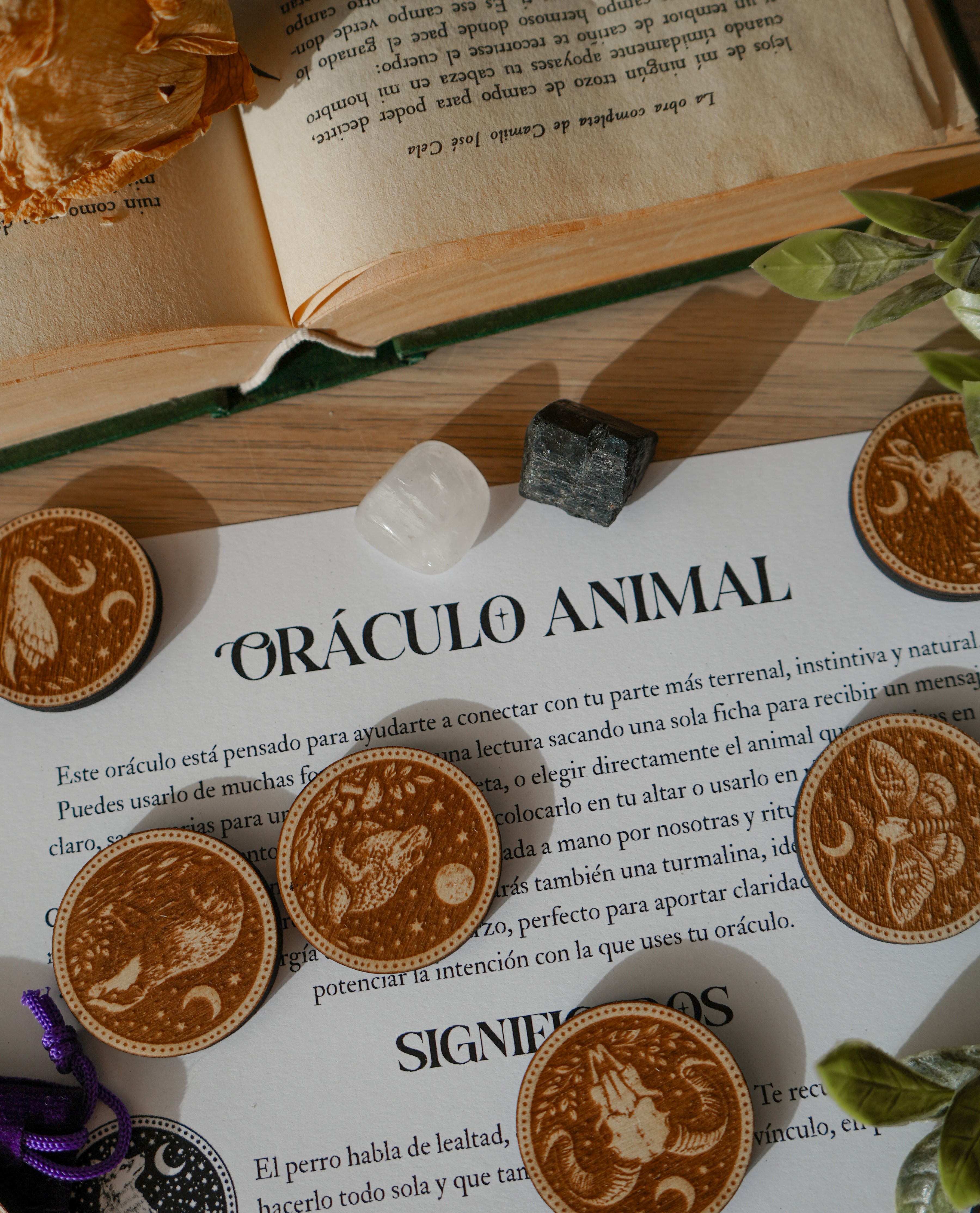 Oráculo de Animales