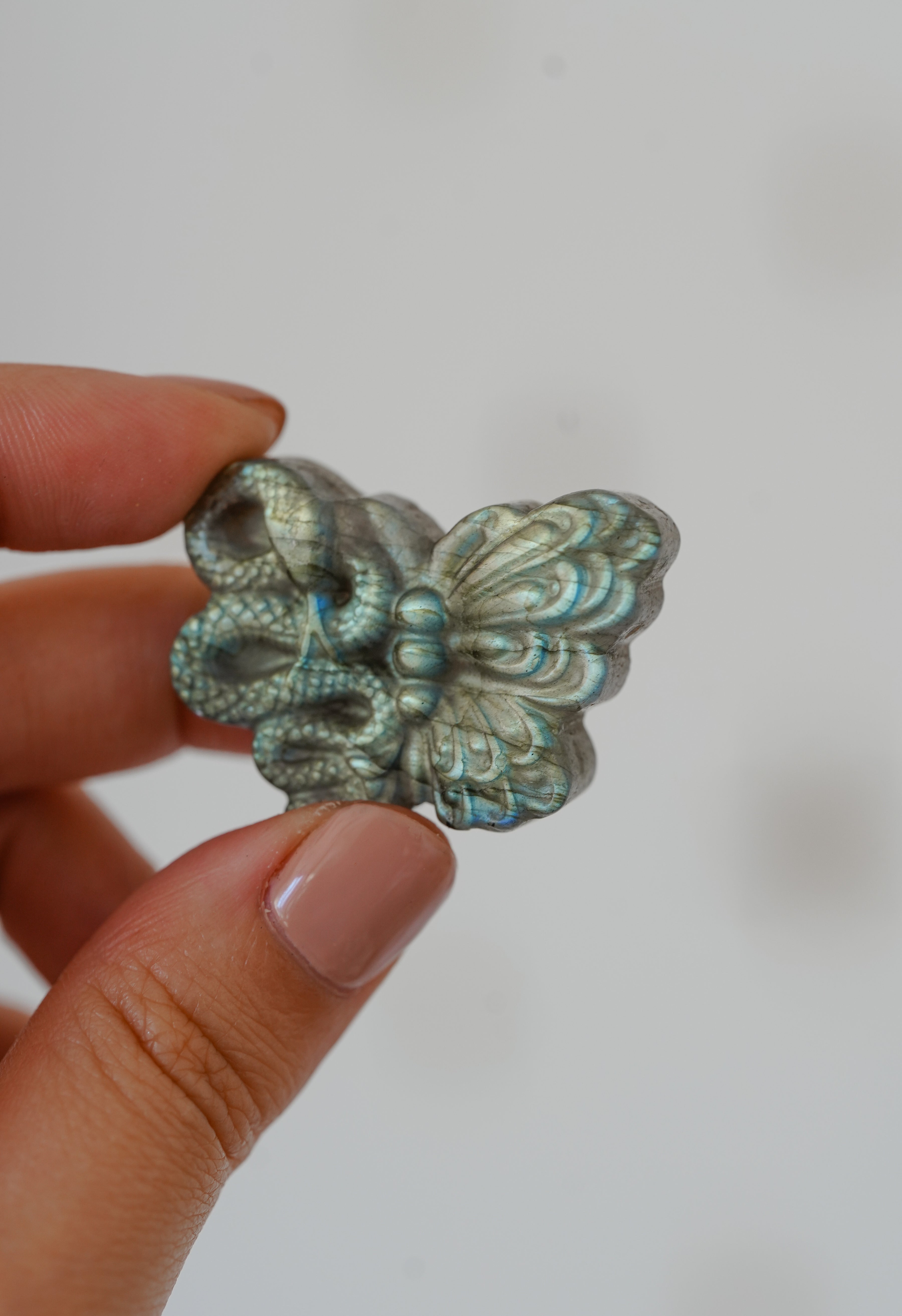 Serpiente y Mariposa de Labradorita – Transformación y renacimiento