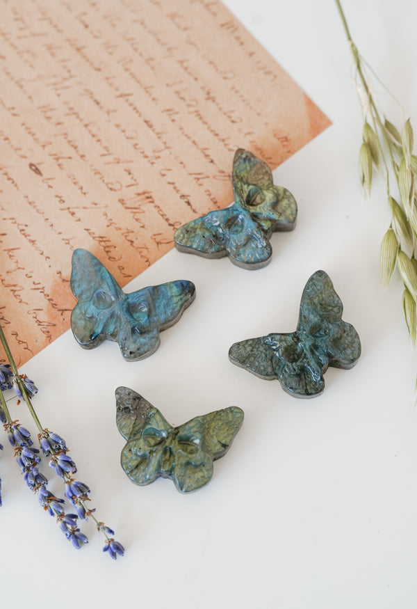 Mariposa con Calavera de Labradorita – Renacimiento y transformación profunda