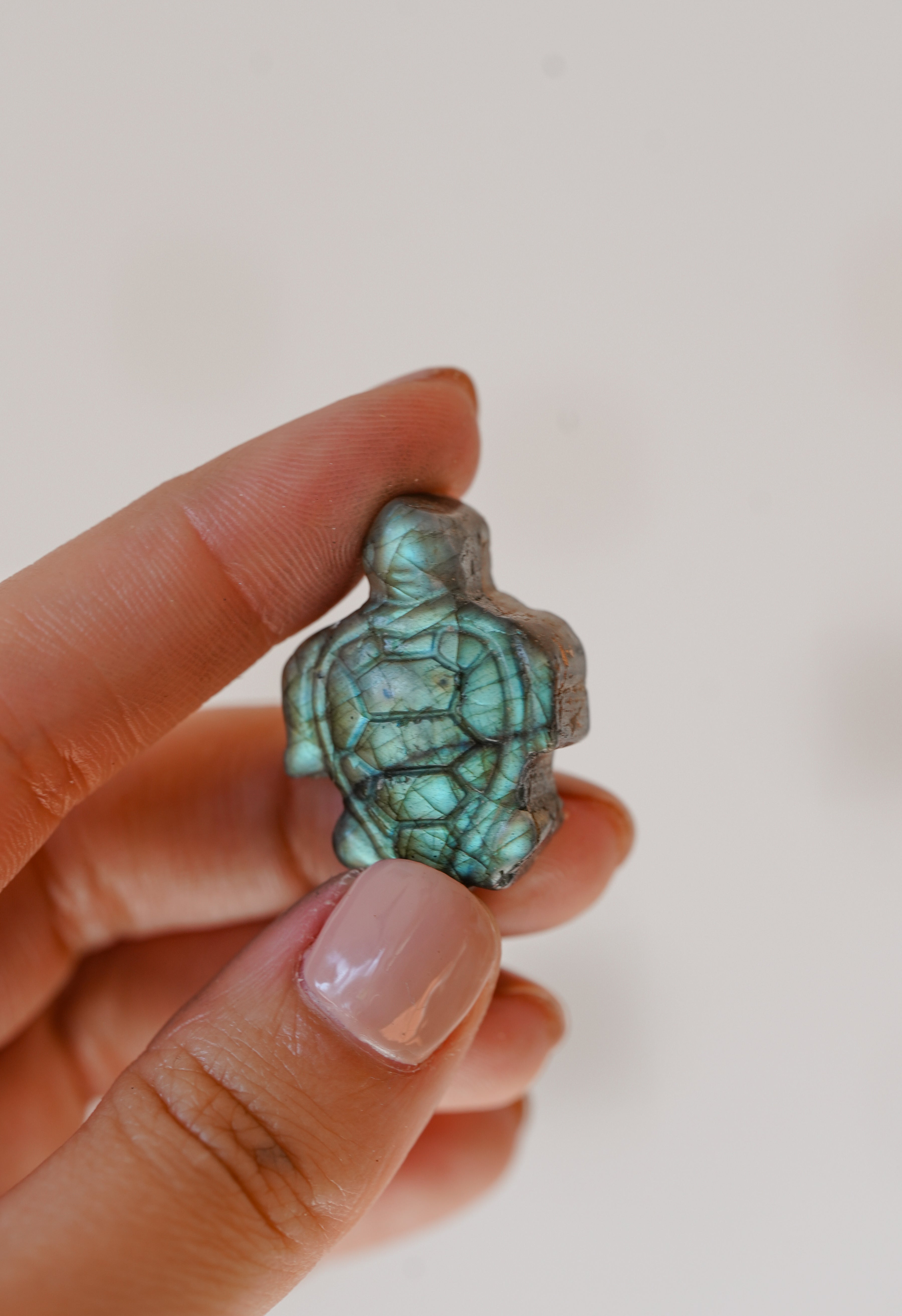 Tortuga de Labradorita – Protección, paciencia y sabiduría ancestral