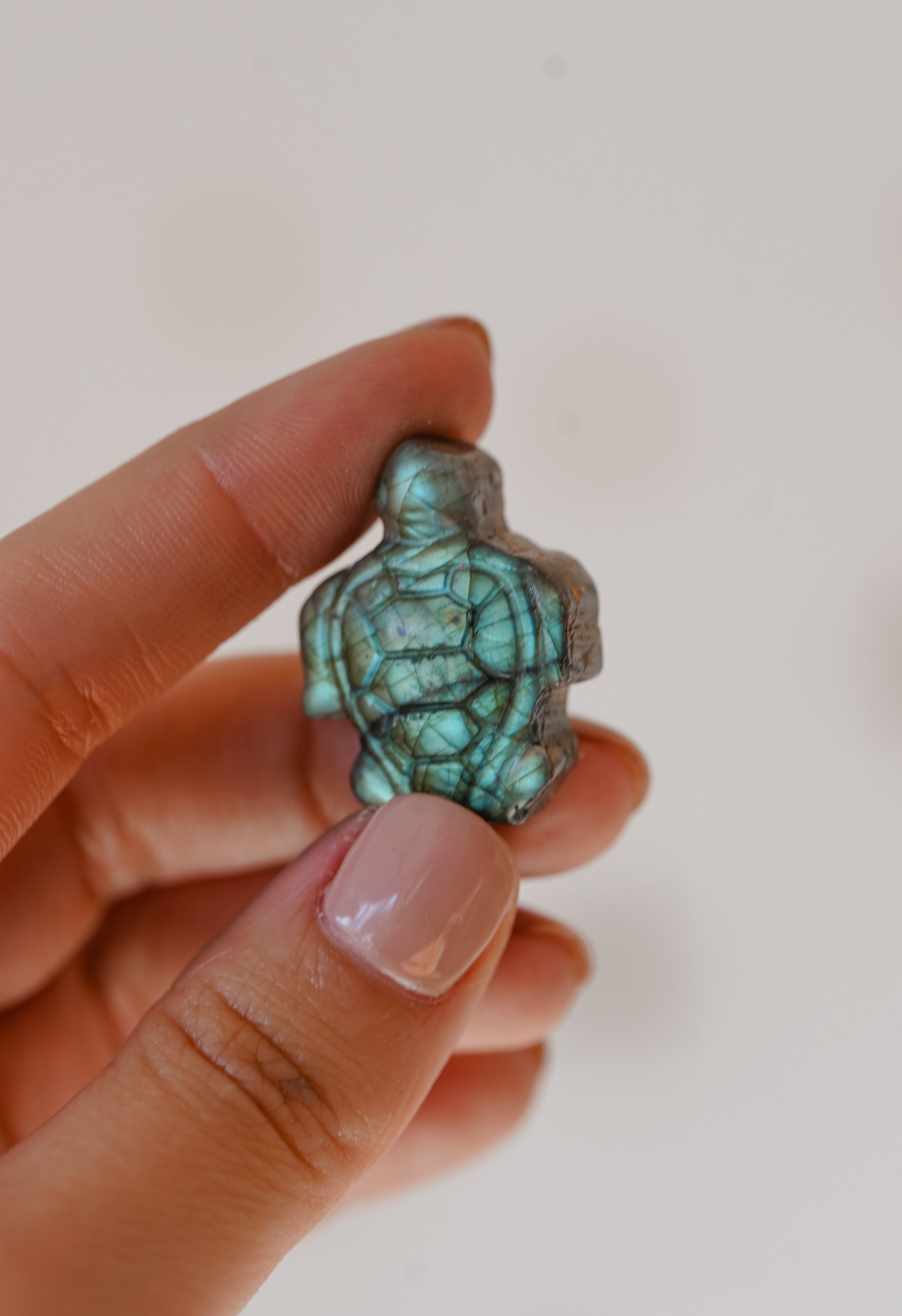 Tortuga de Labradorita – Protección, paciencia y sabiduría ancestral