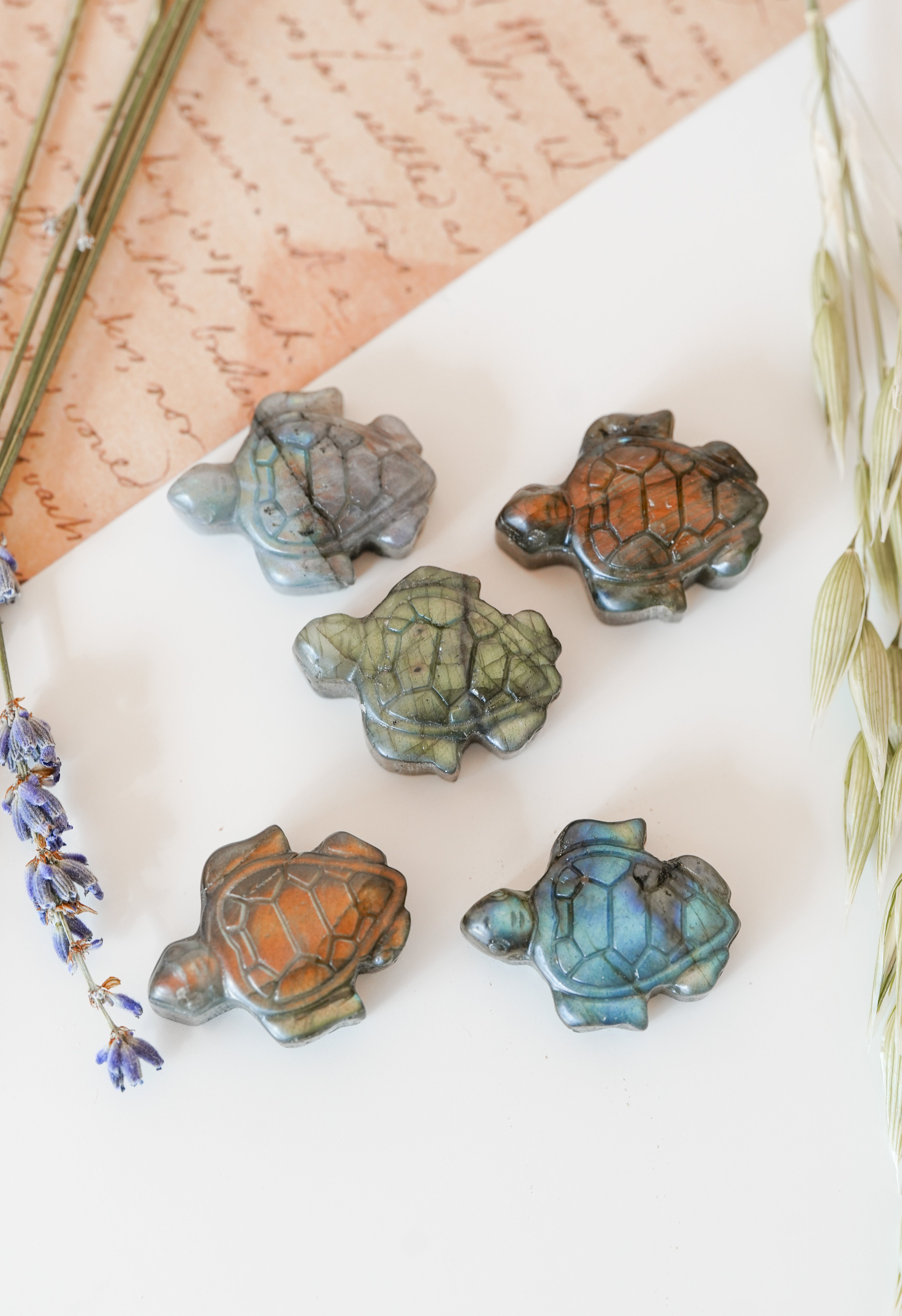 Tortuga de Labradorita – Protección, paciencia y sabiduría ancestral