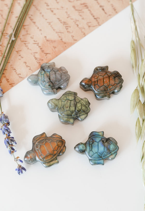 Tortuga de Labradorita – Protección, paciencia y sabiduría ancestral