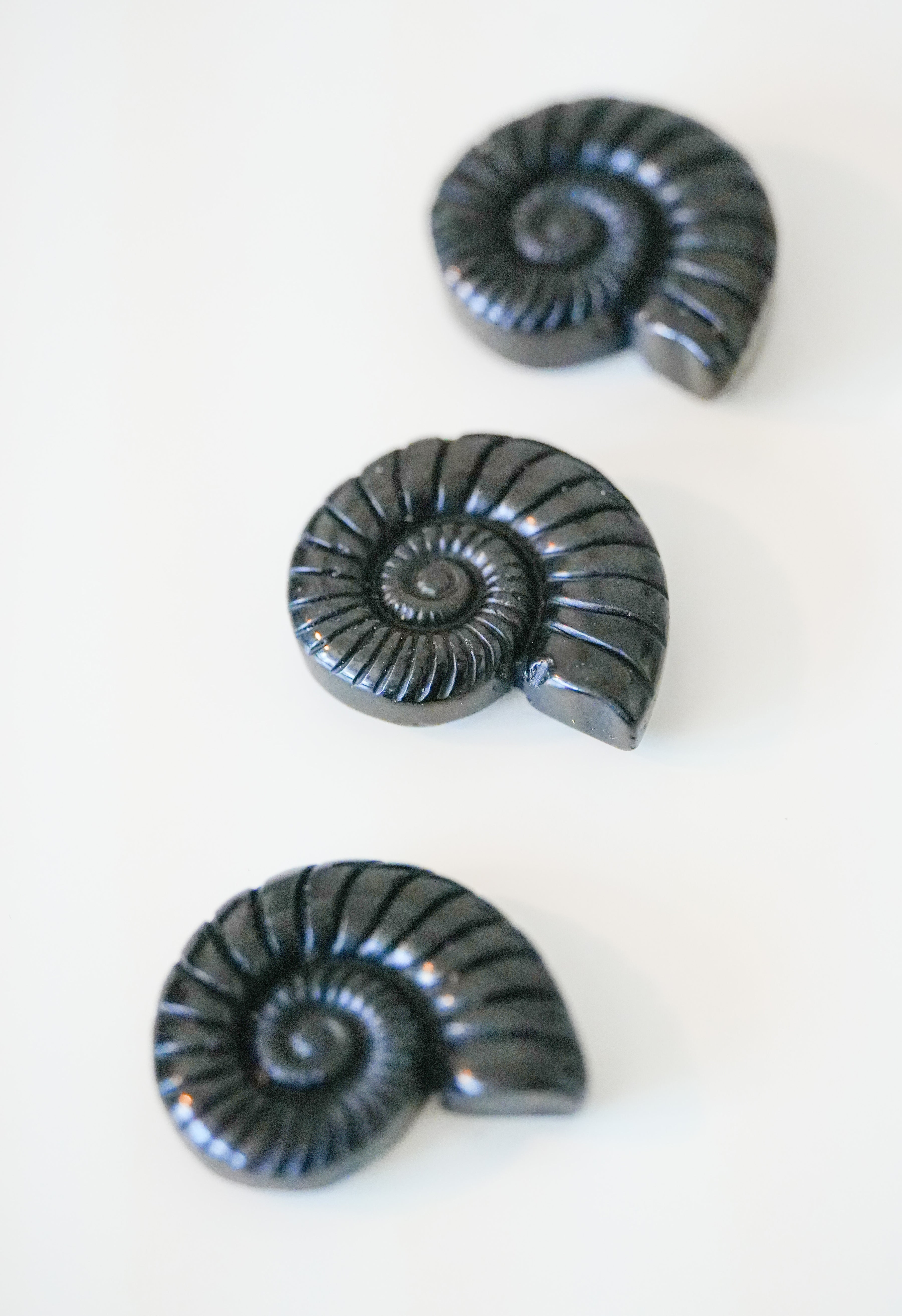 Caracola de Obsidiana Negra – Protección y transformación interior