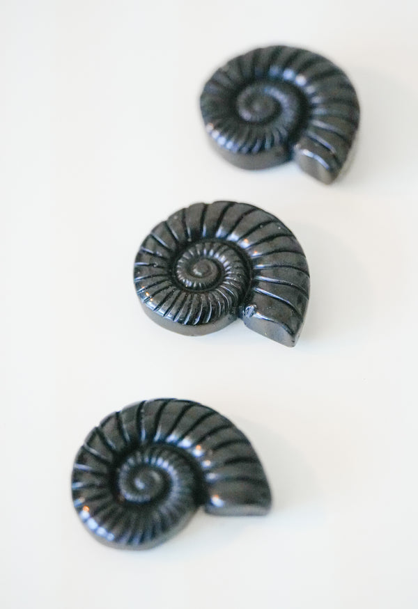 Caracola de Obsidiana Negra – Protección y transformación interior