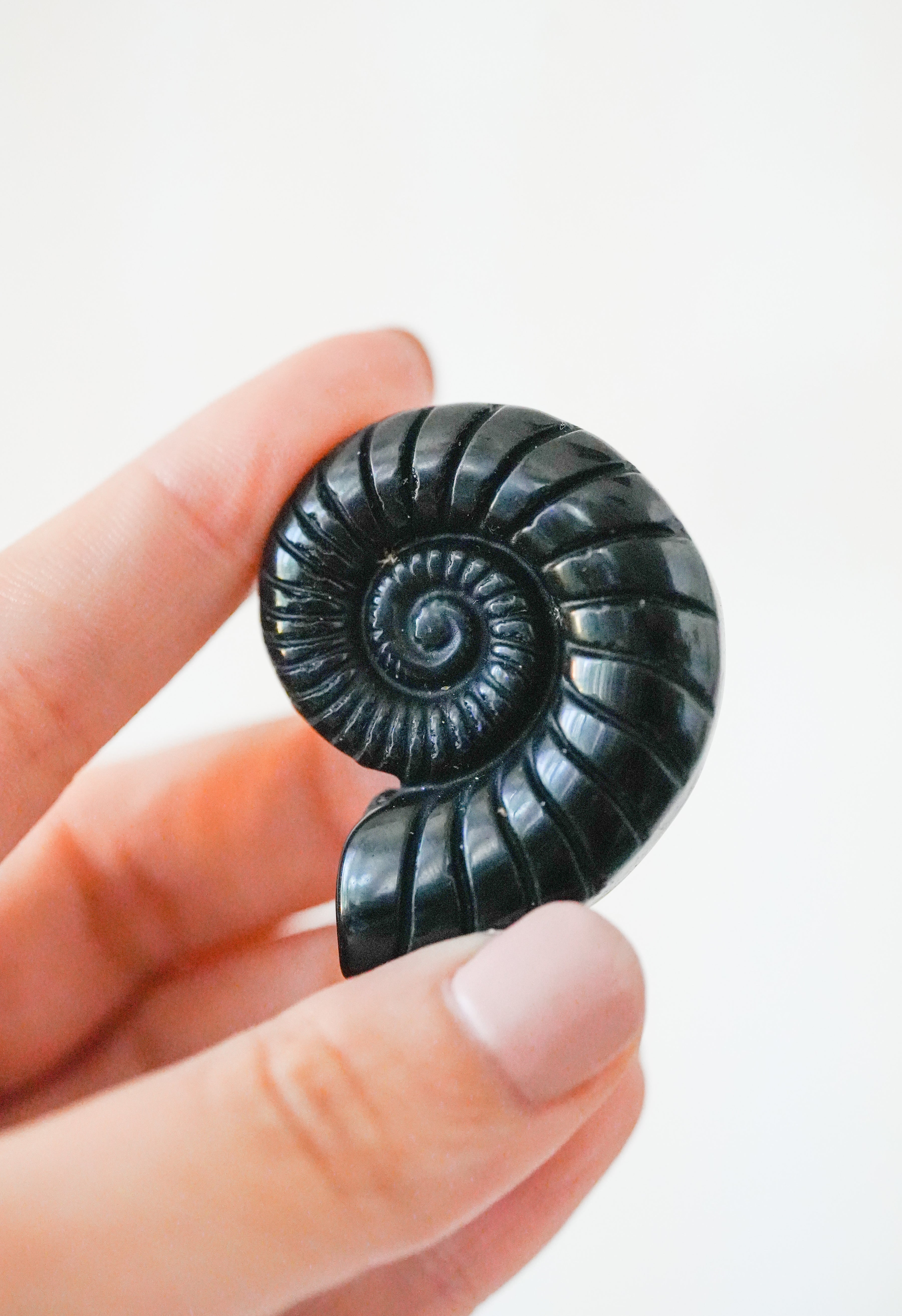 Caracola de Obsidiana Negra – Protección y transformación interior