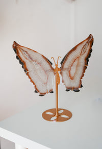 Mariposas de Ágata Grandes  – Transformación y equilibrio