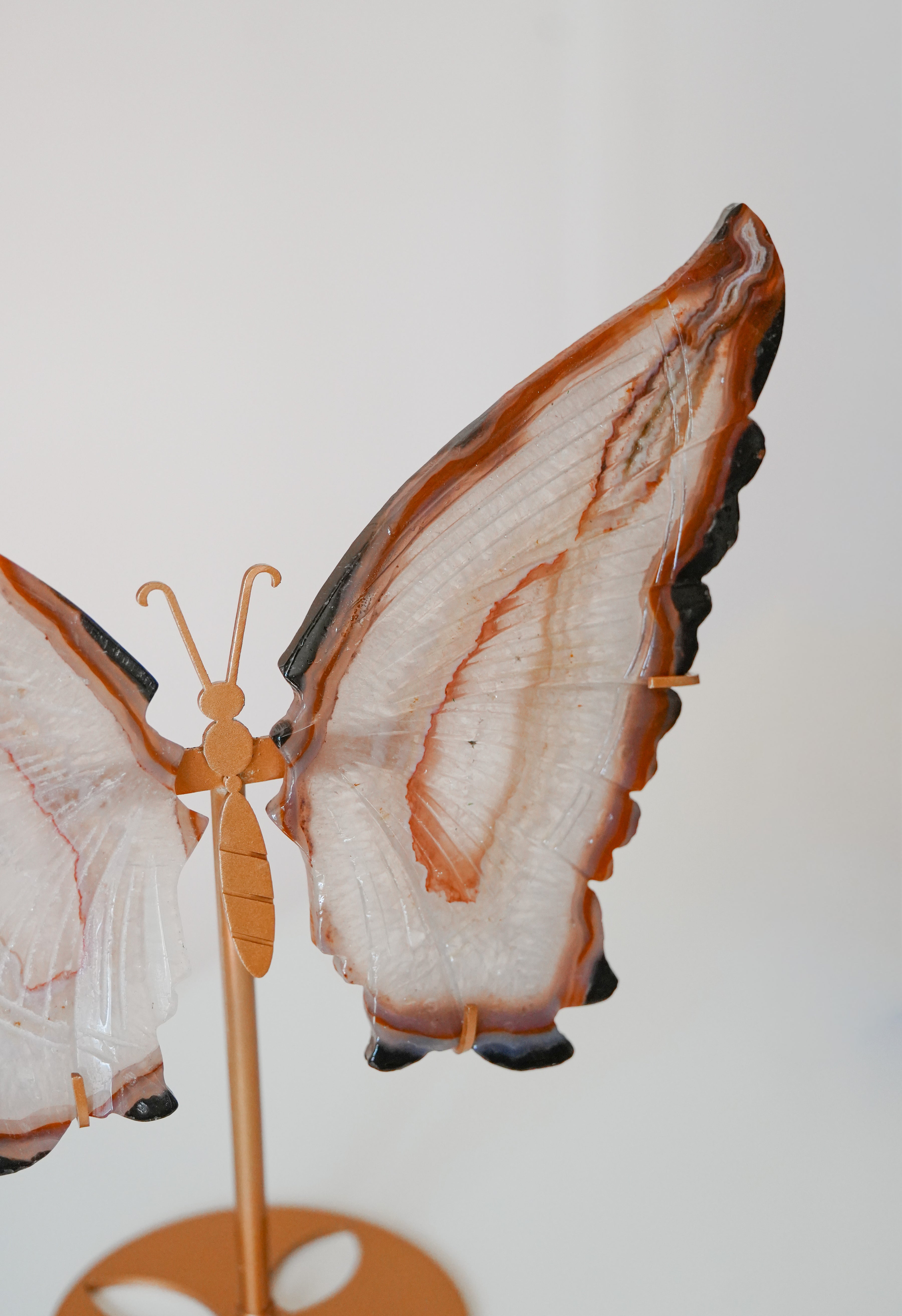 Mariposas de Ágata Grandes  – Transformación y equilibrio