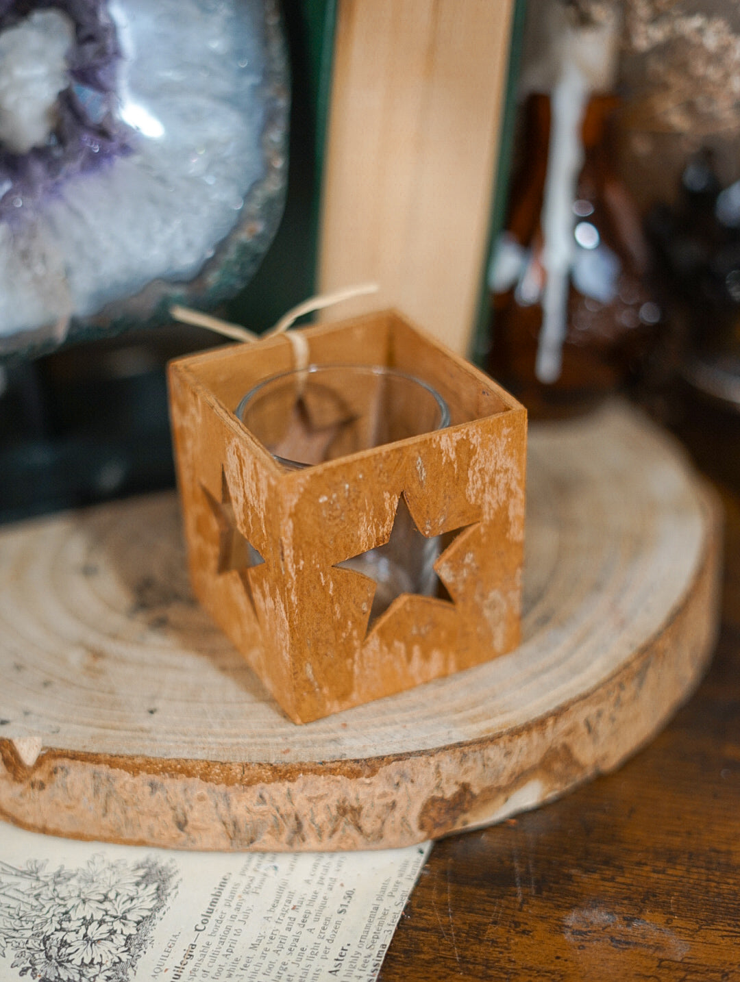 Velero Canela y Estrella