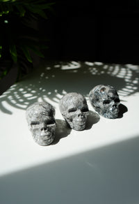 Calavera de Jaspe Picasso