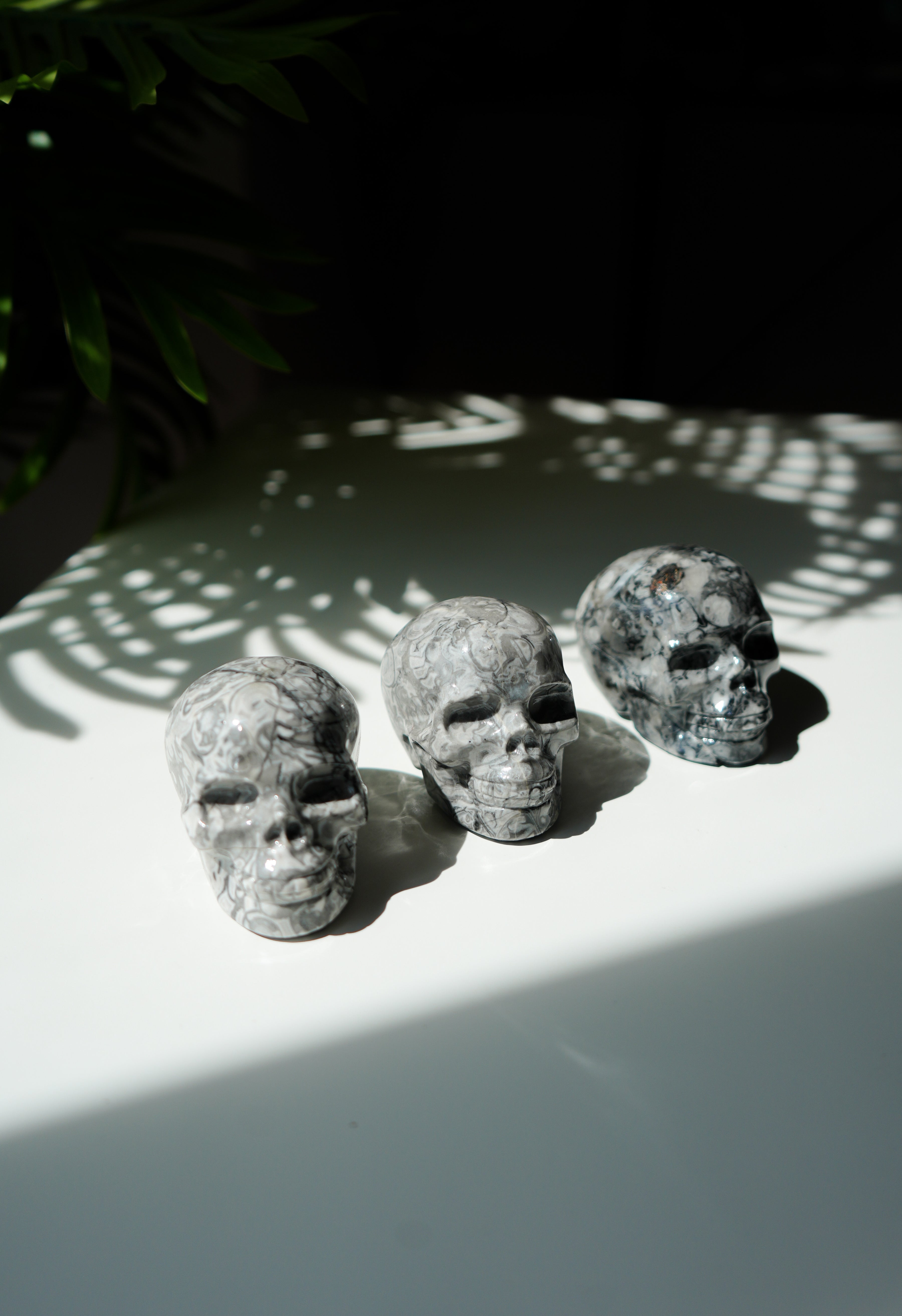 Calavera de Jaspe Picasso