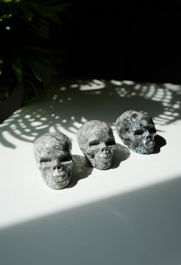 Calavera de Jaspe Picasso