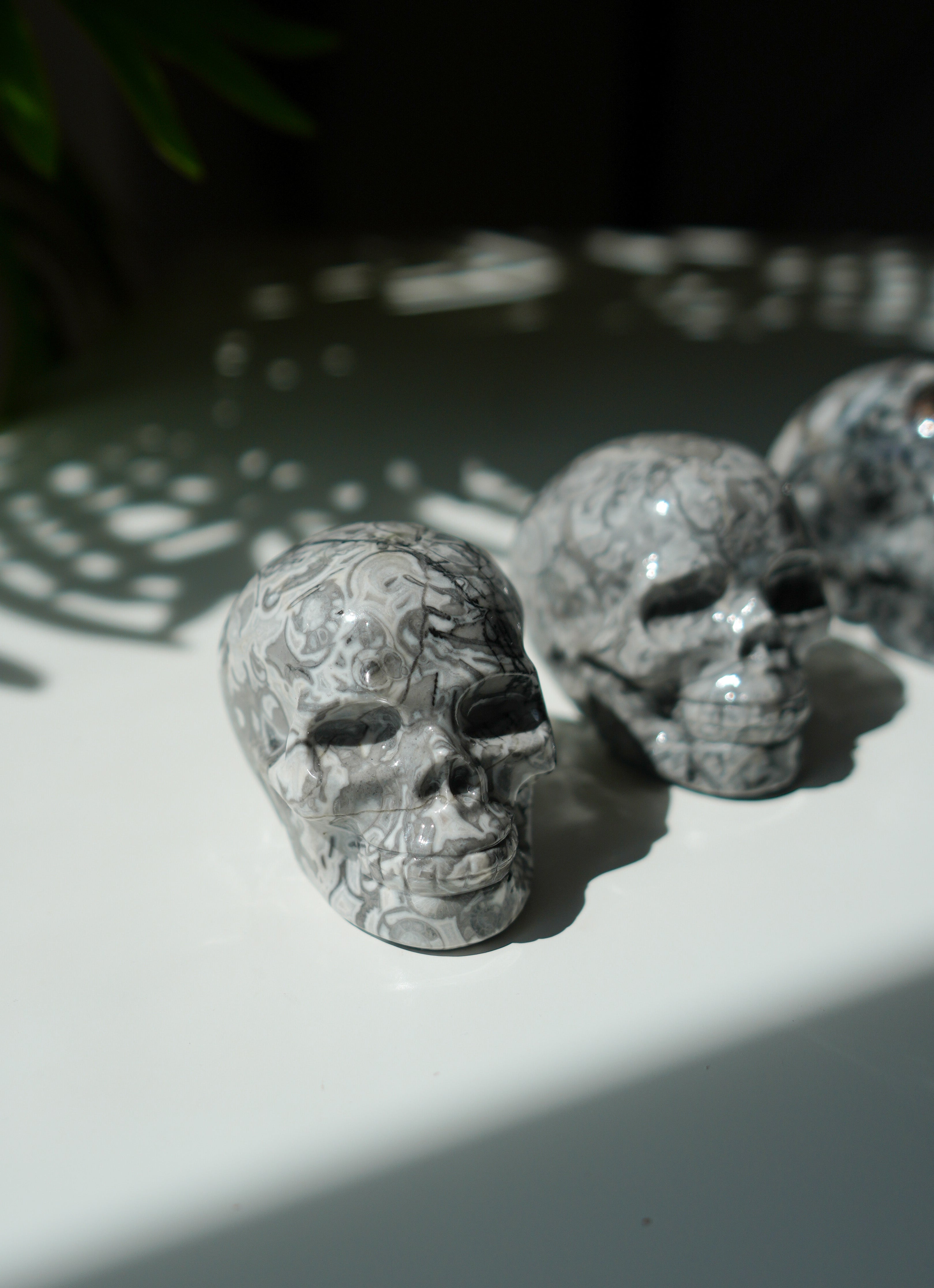 Calavera de Jaspe Picasso