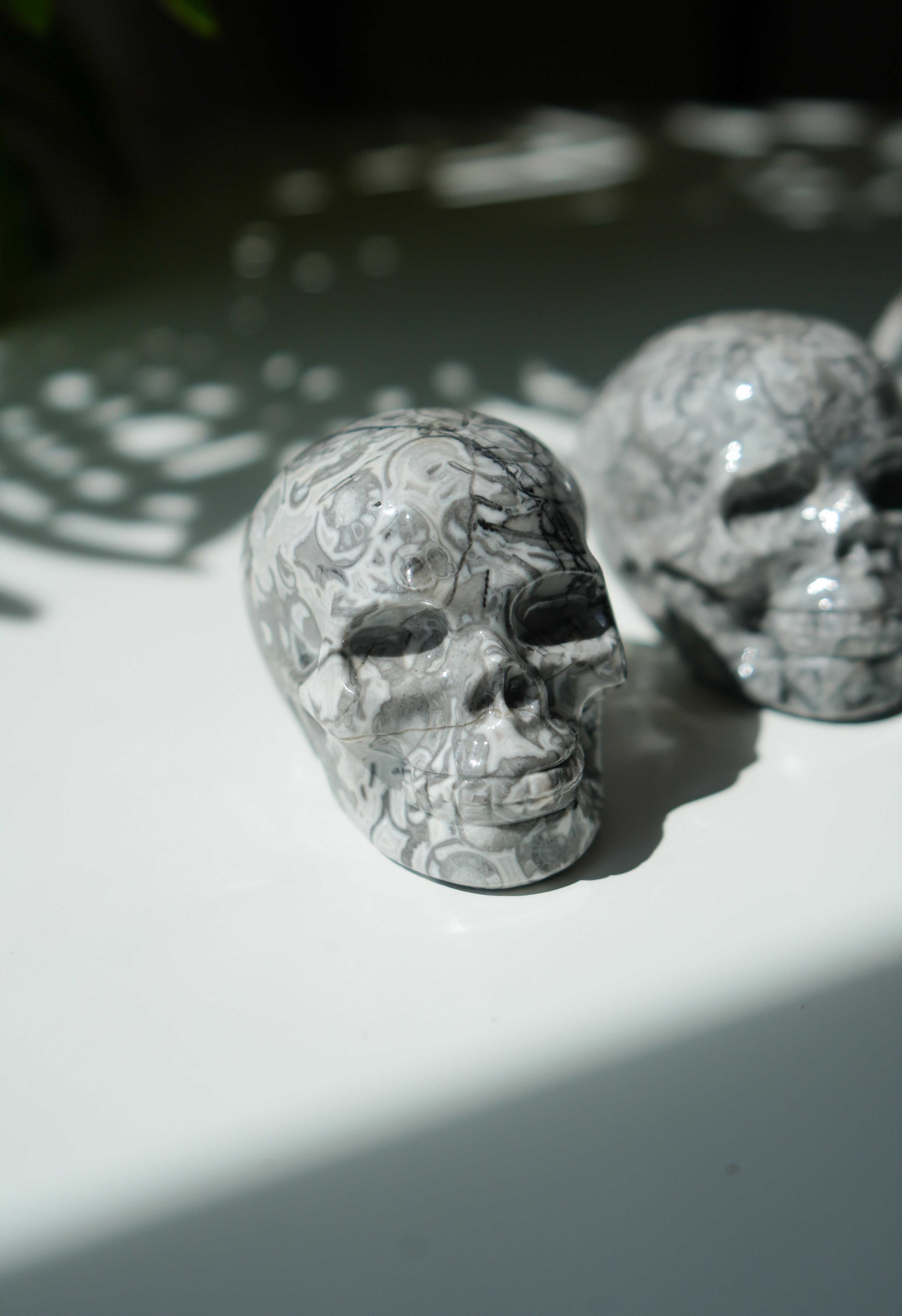 Calavera de Jaspe Picasso
