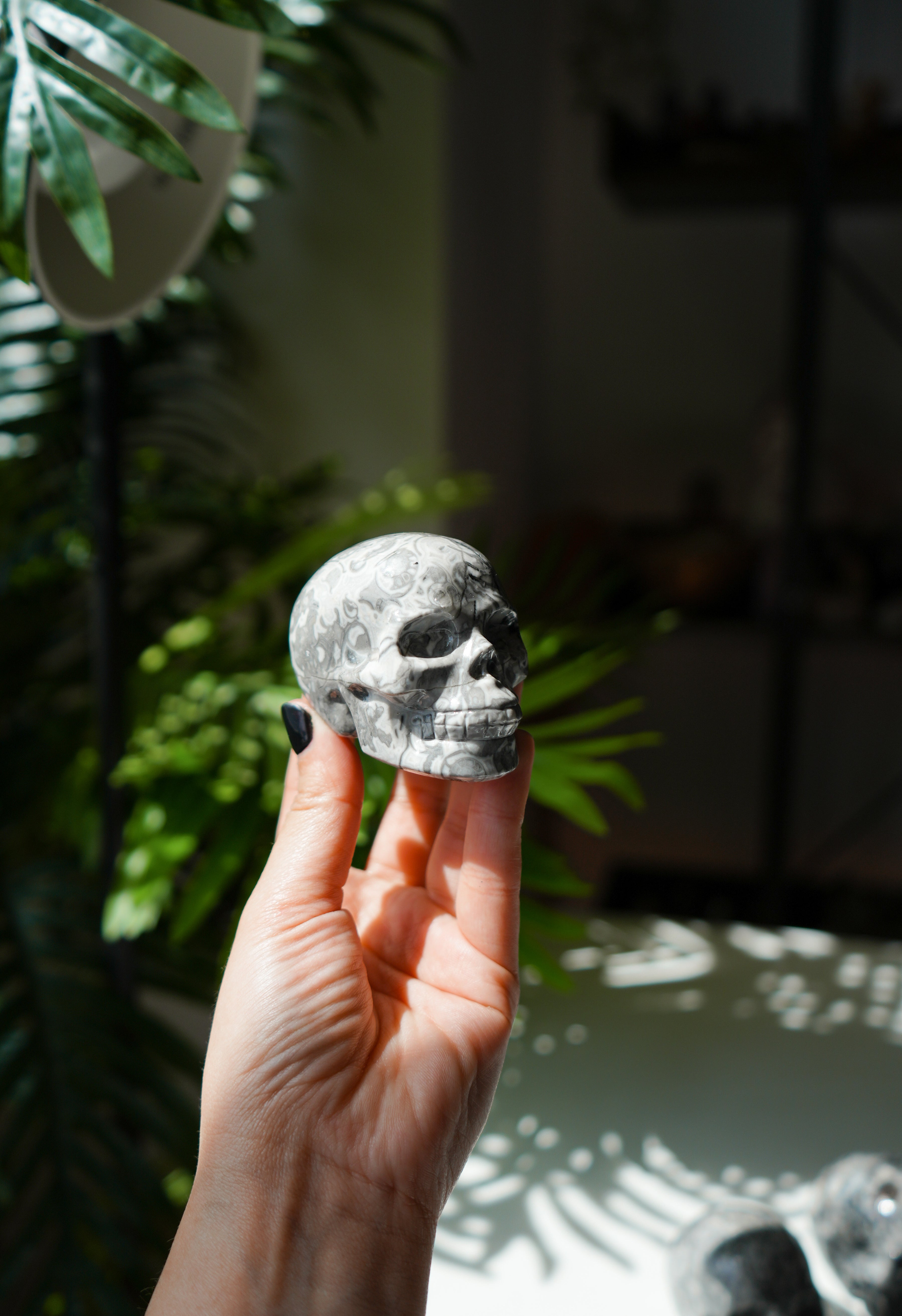 Calavera de Jaspe Picasso