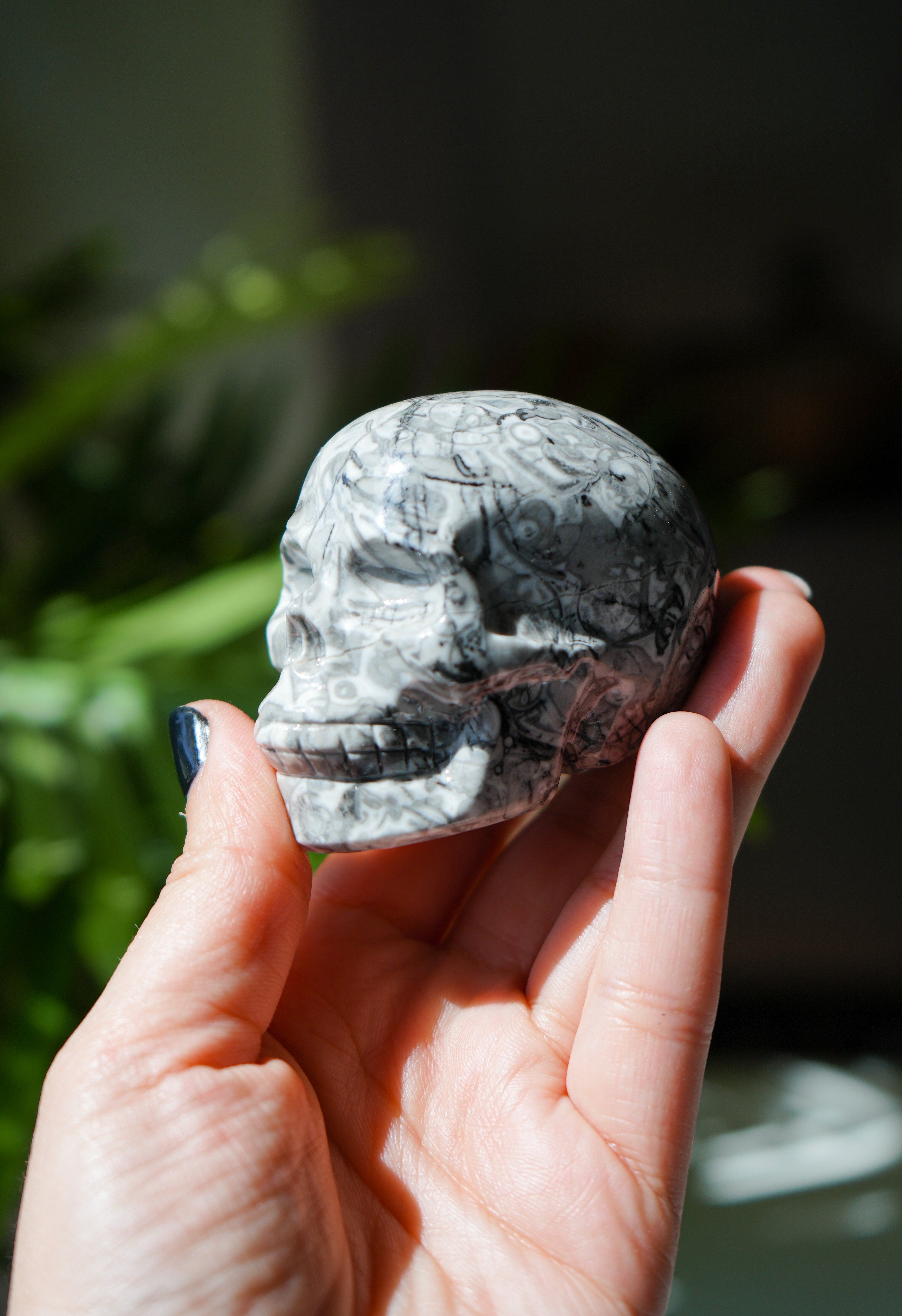 Calavera de Jaspe Picasso