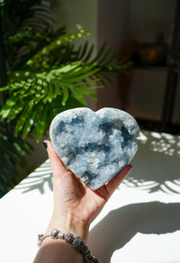 Corazón de Celestina