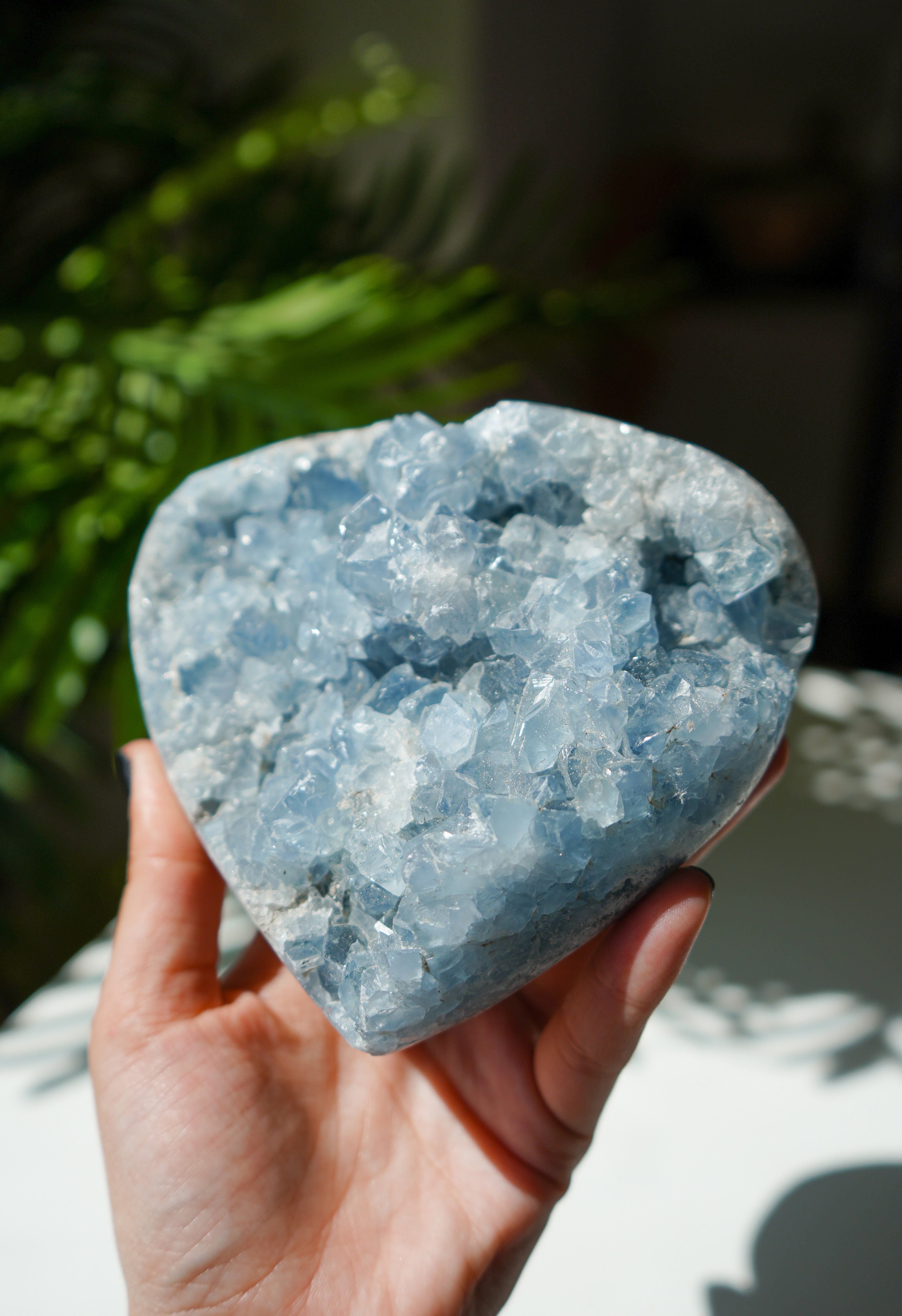 Corazón de Celestina
