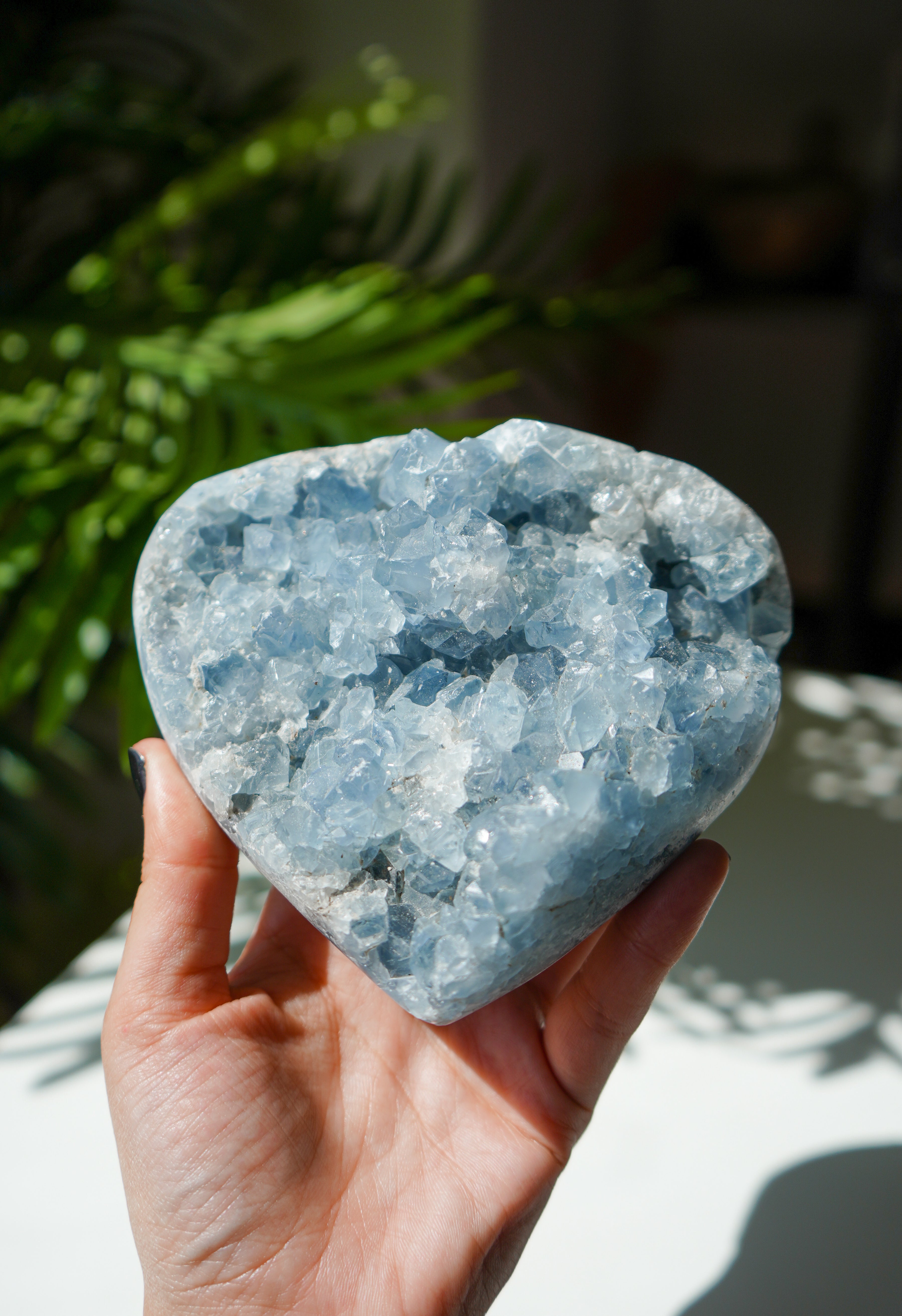 Corazón de Celestina