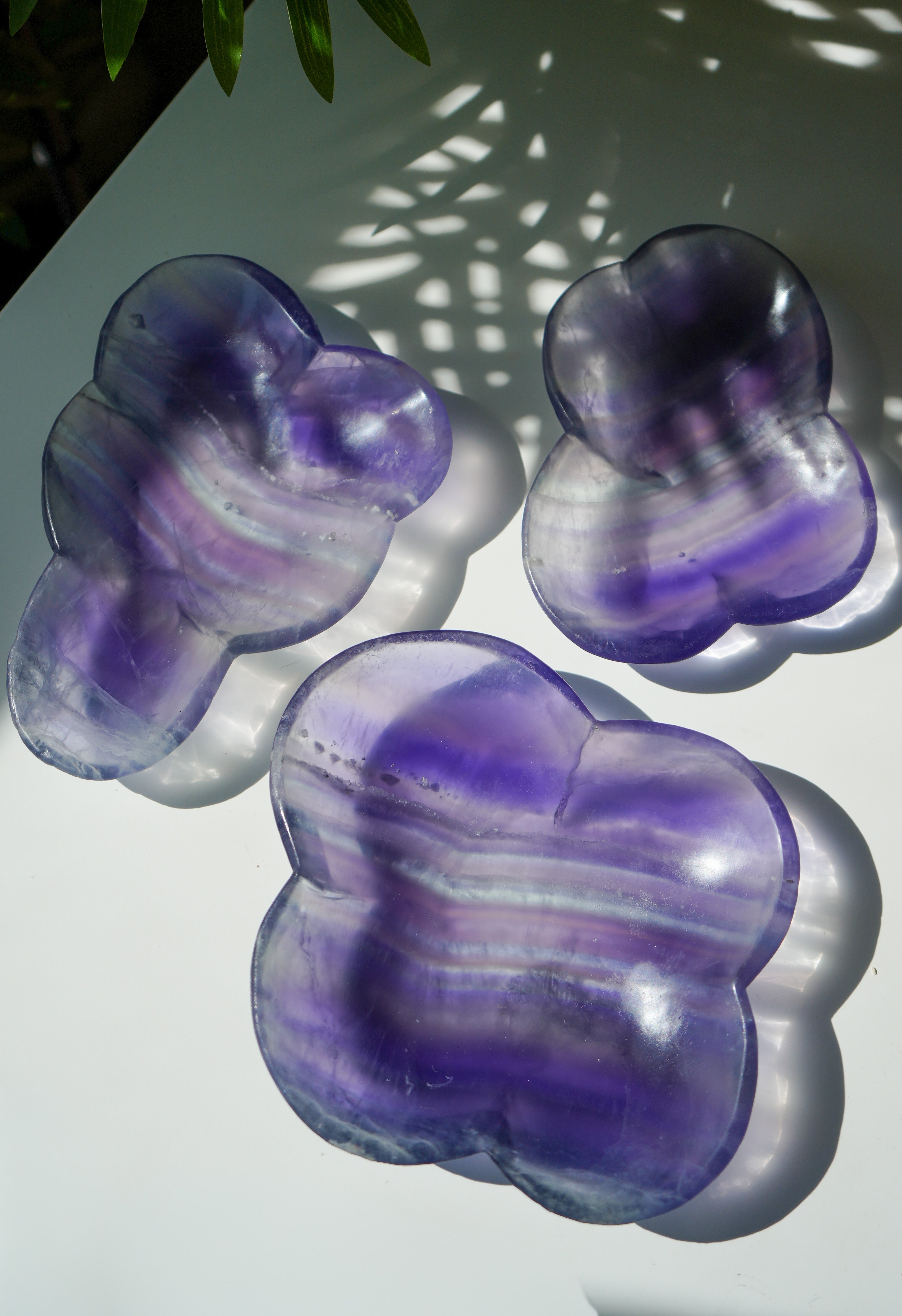 Bol de Fluorita Morada