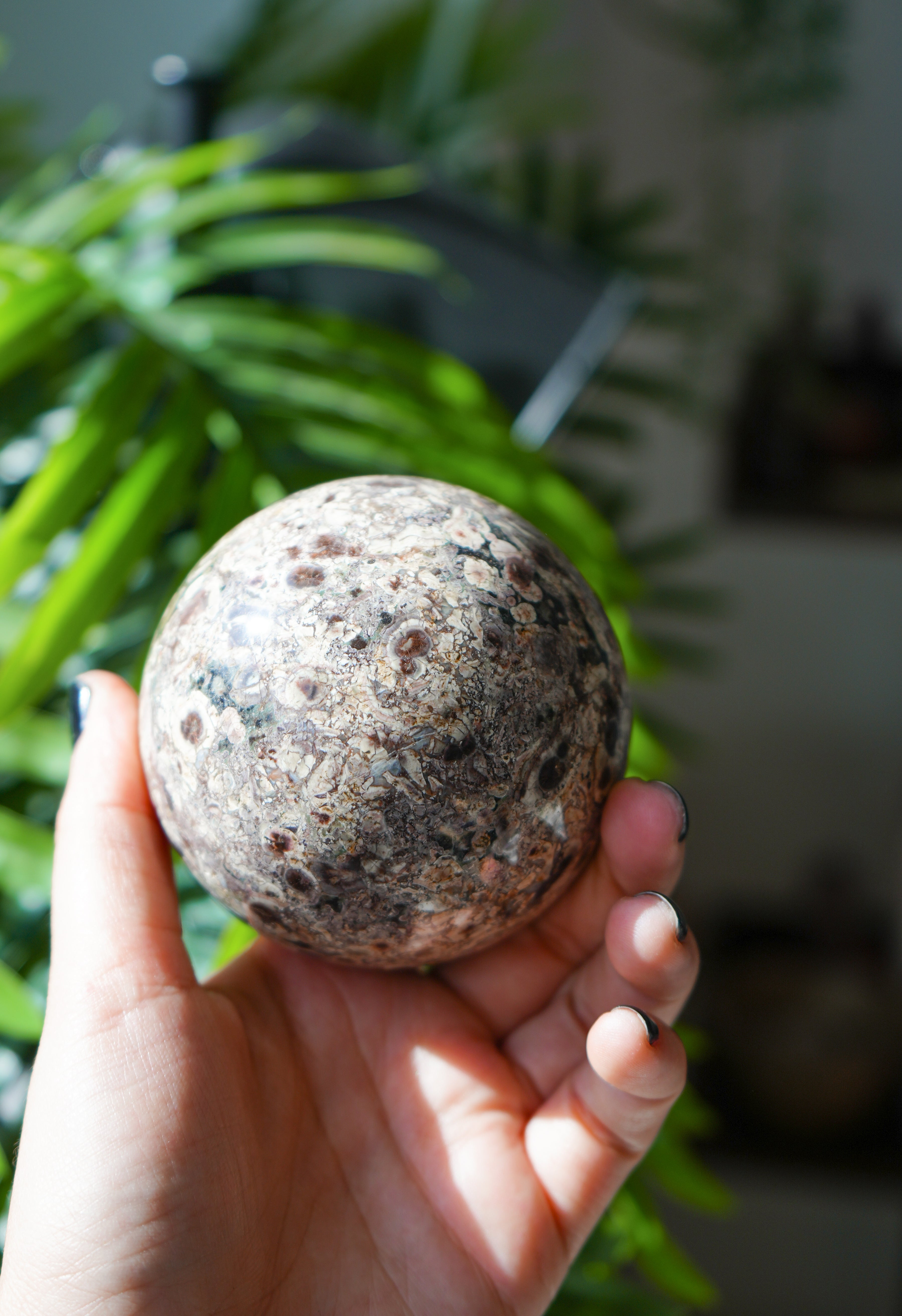 Esfera de Ágata y Fósil