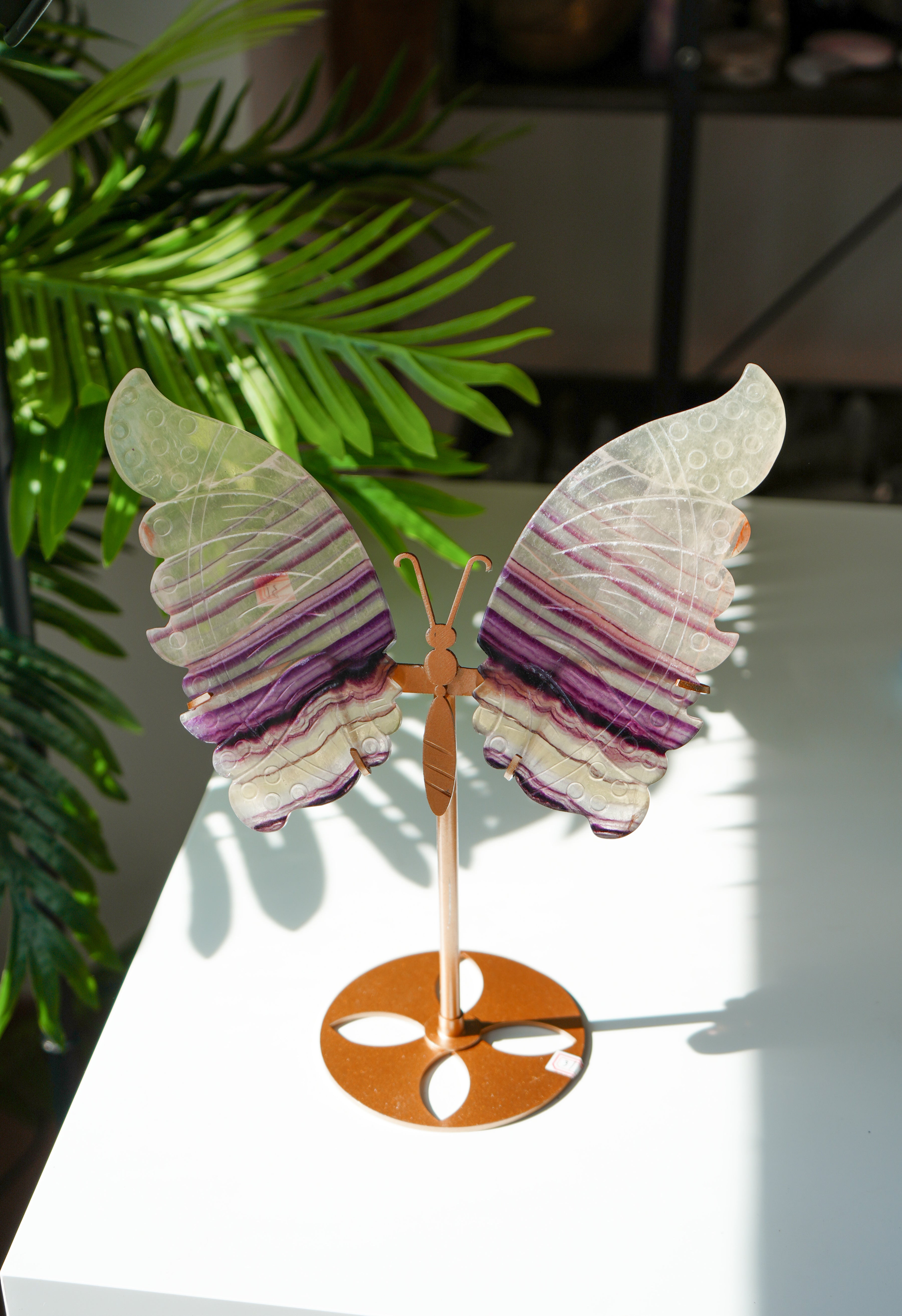 Mariposa de Fluorita